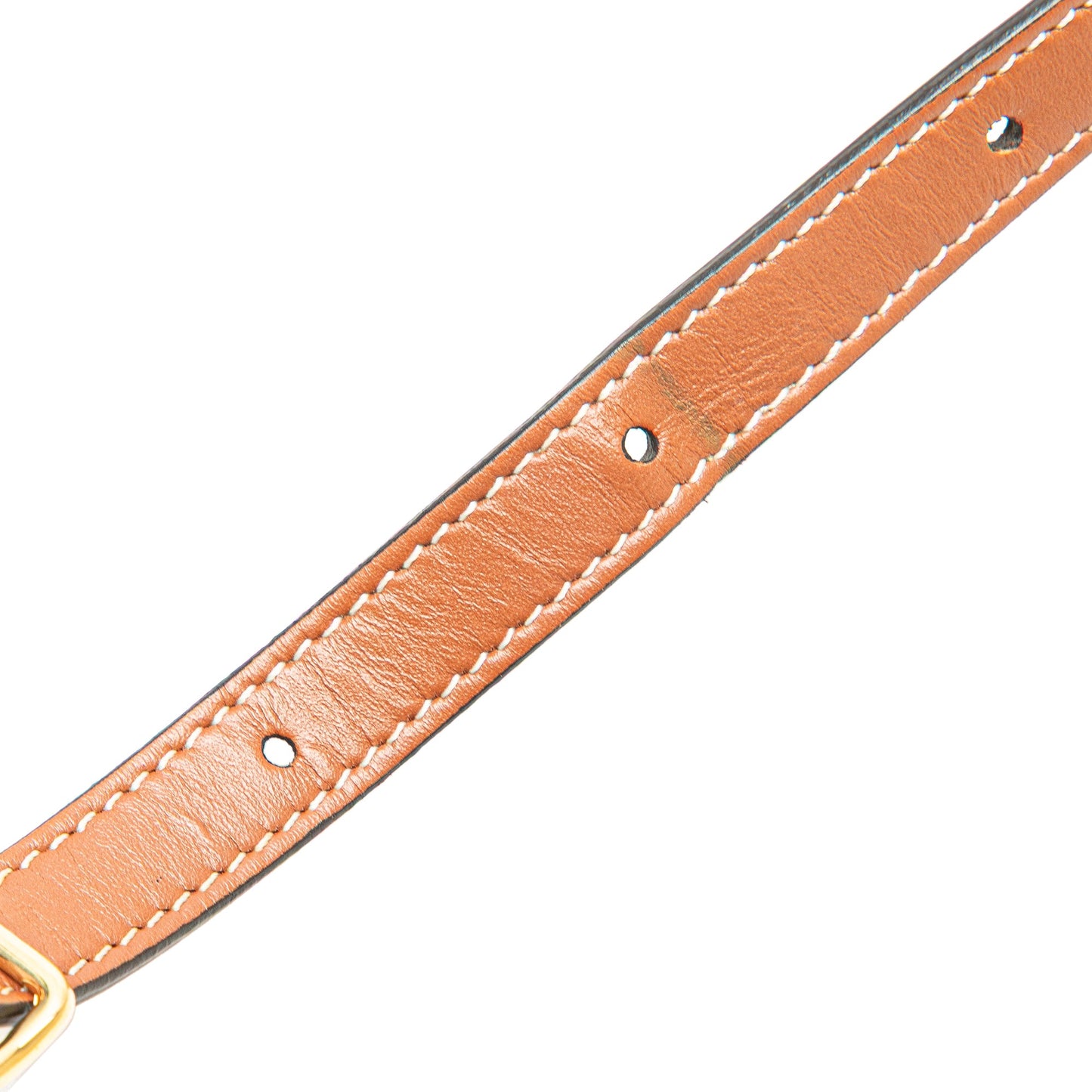 Celine Medium Triomphe Coated Canvas Tambour Crossbody