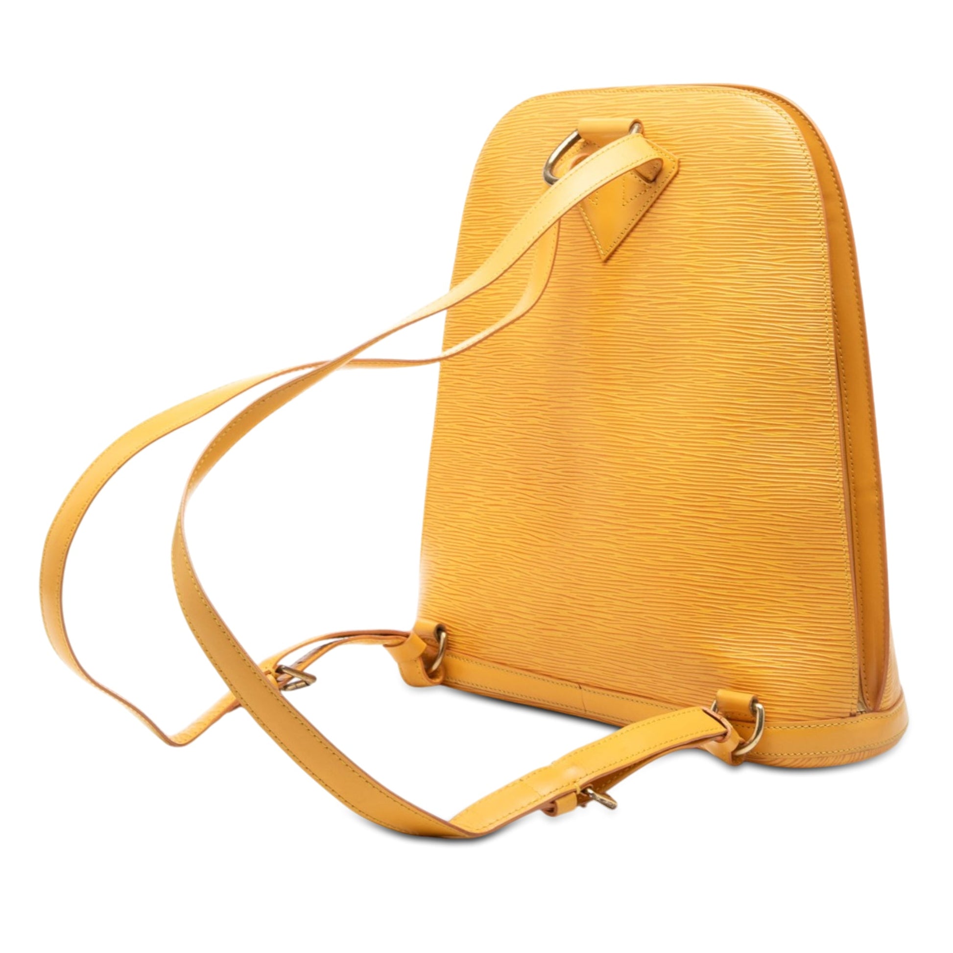 Louis Vuitton Epi Gobelins