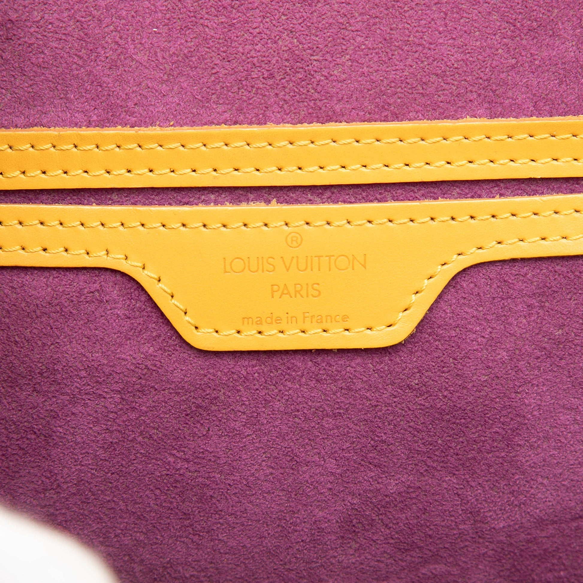 Louis Vuitton Epi Gobelins