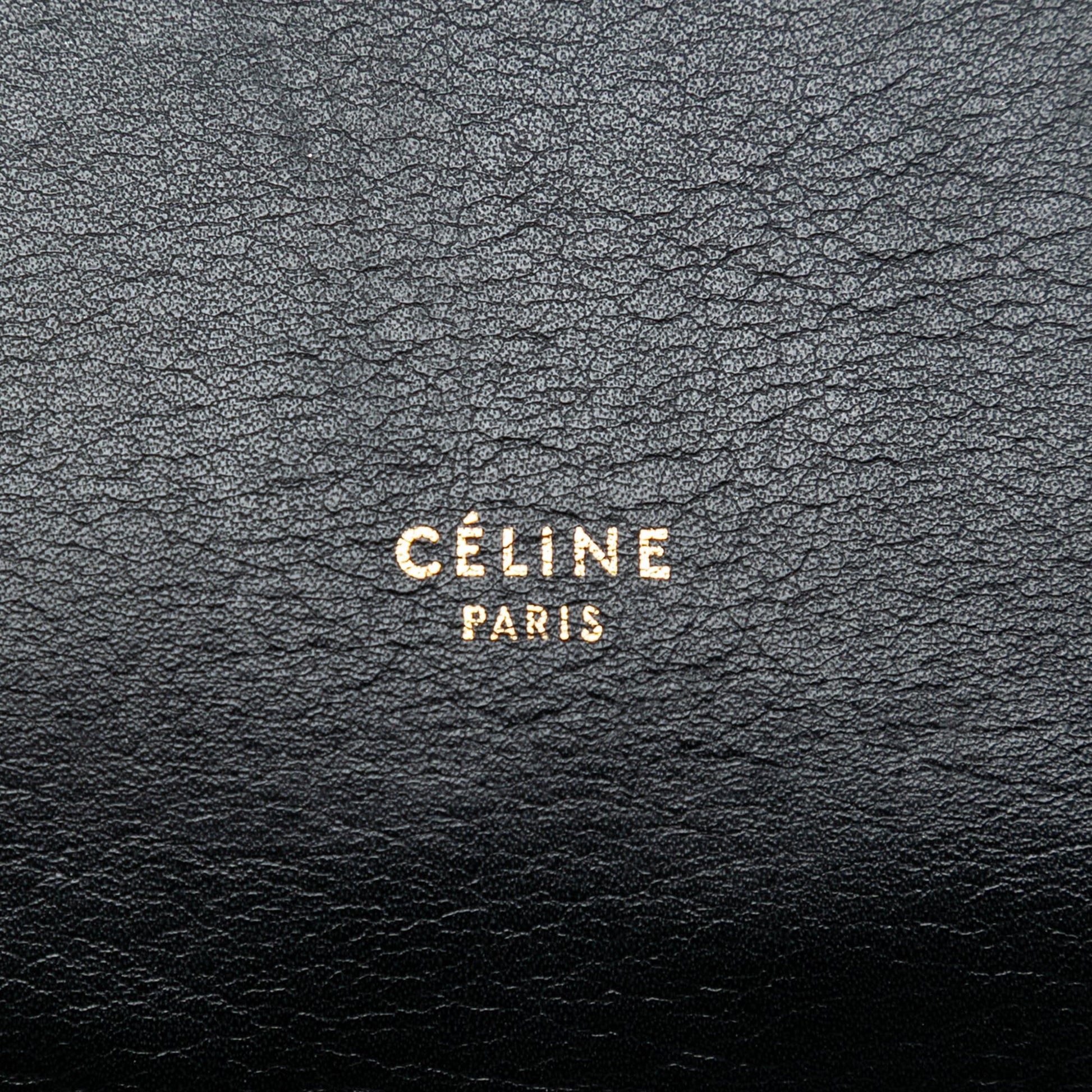 Celine Mini Bicolor Smooth Calfskin Belt Bag