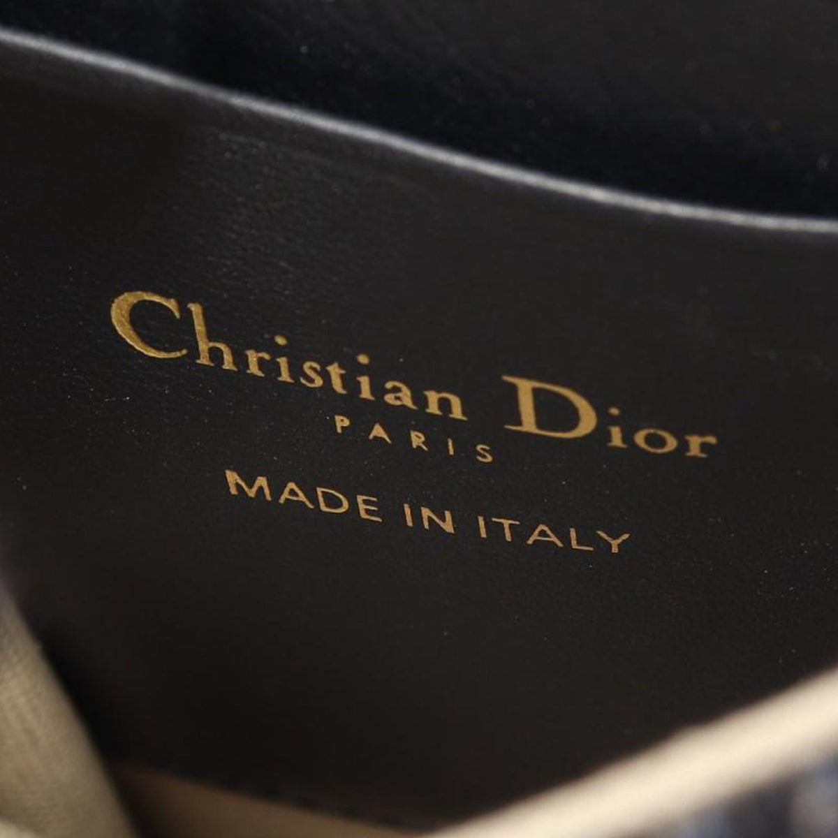 Dior Oblique Canvas Vertical Saddle Pouch
