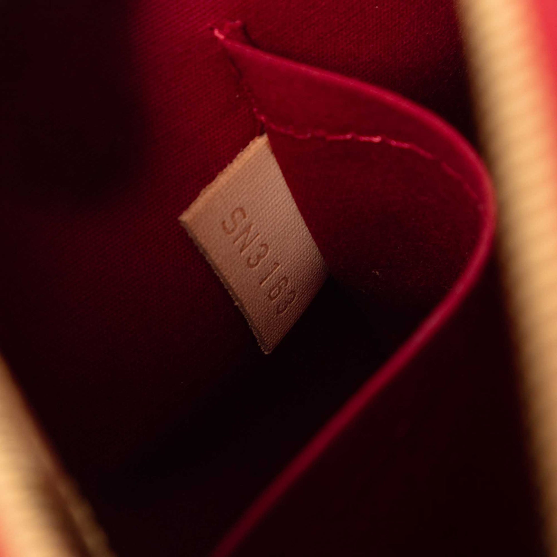 Louis Vuitton Monogram Vernis Alma PM