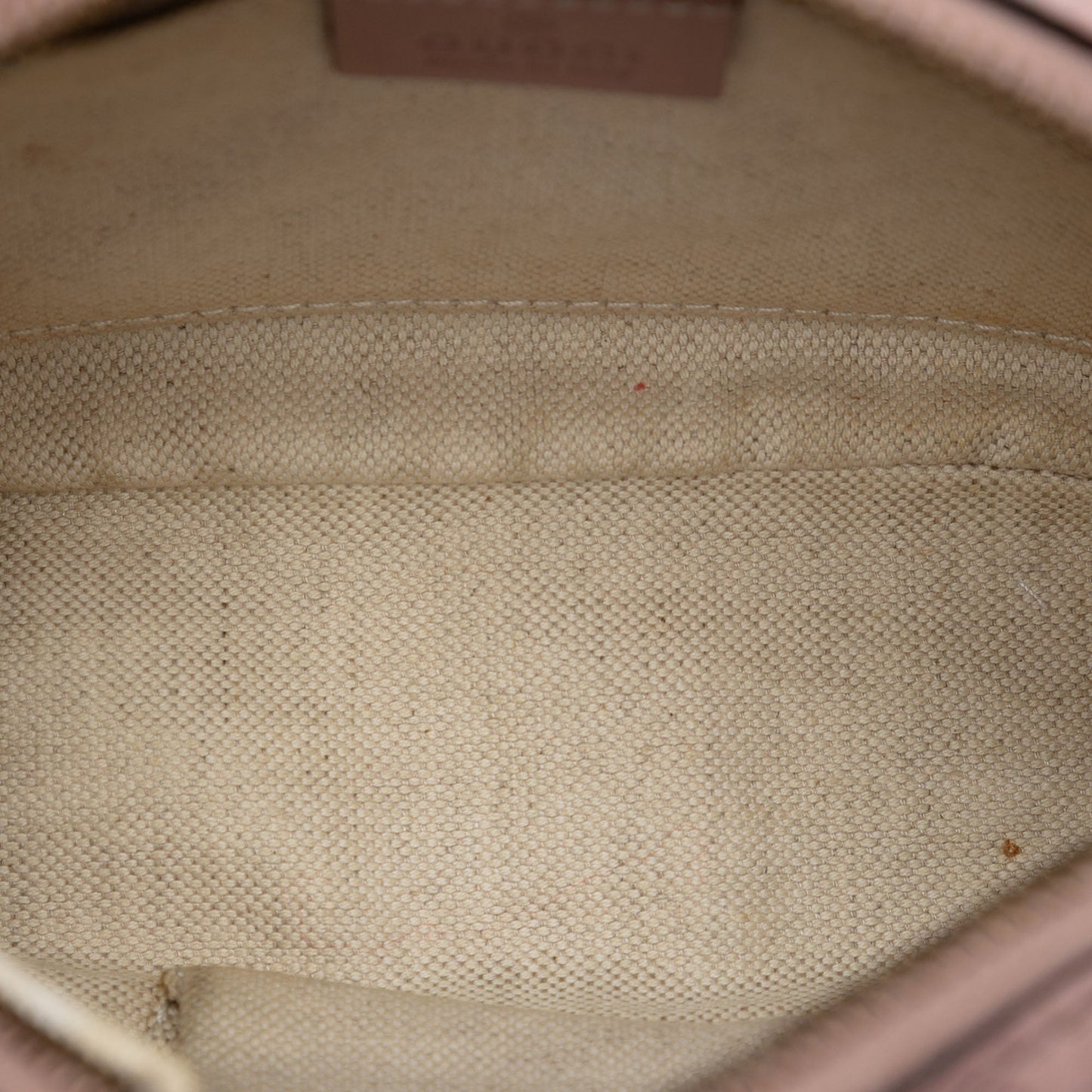 Metallic Microguccissima Sunshine Disco Camera Bag