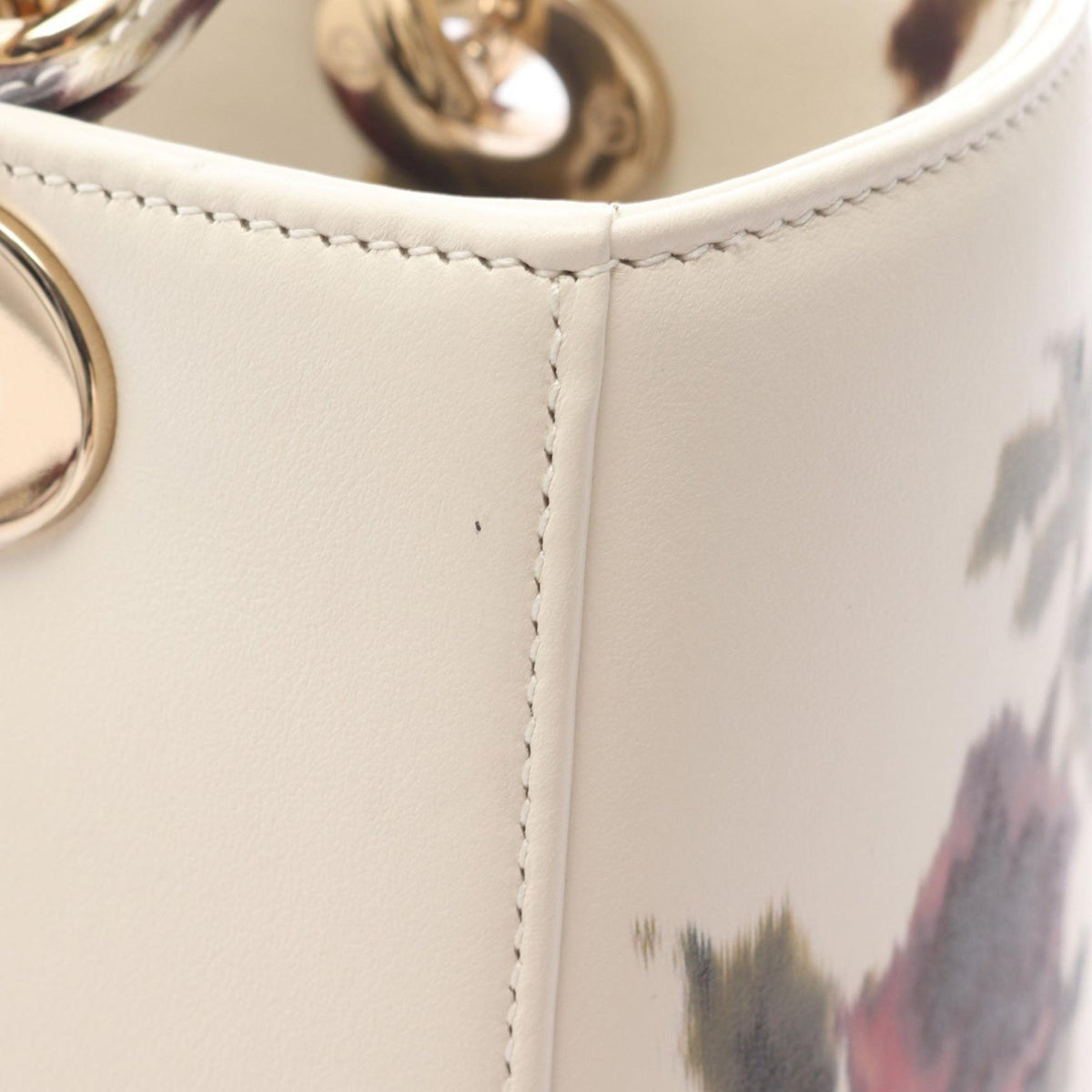 Dior Medium Leather Floral Printed Lady Dior