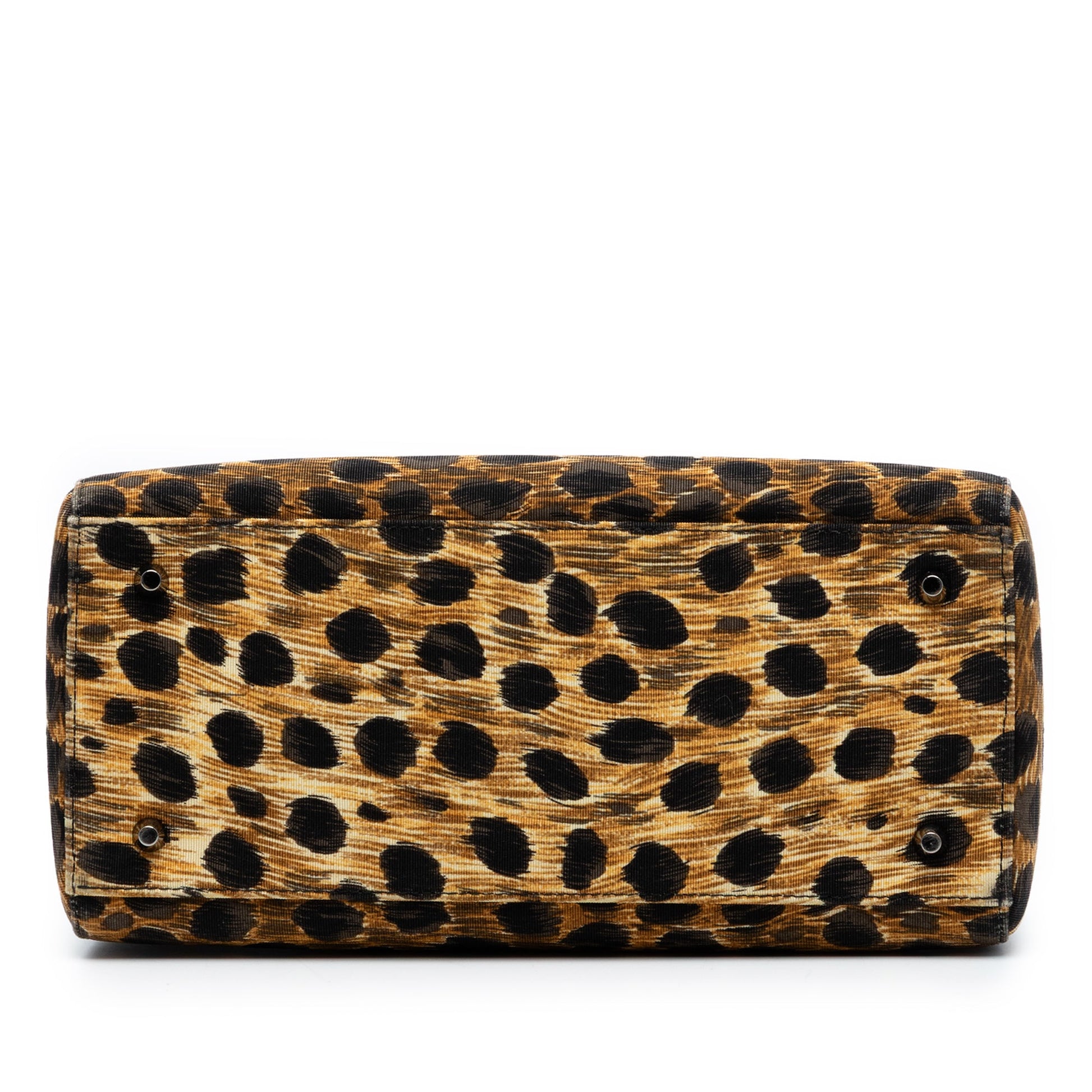 Medium Canvas Leopard Print Lady Dior