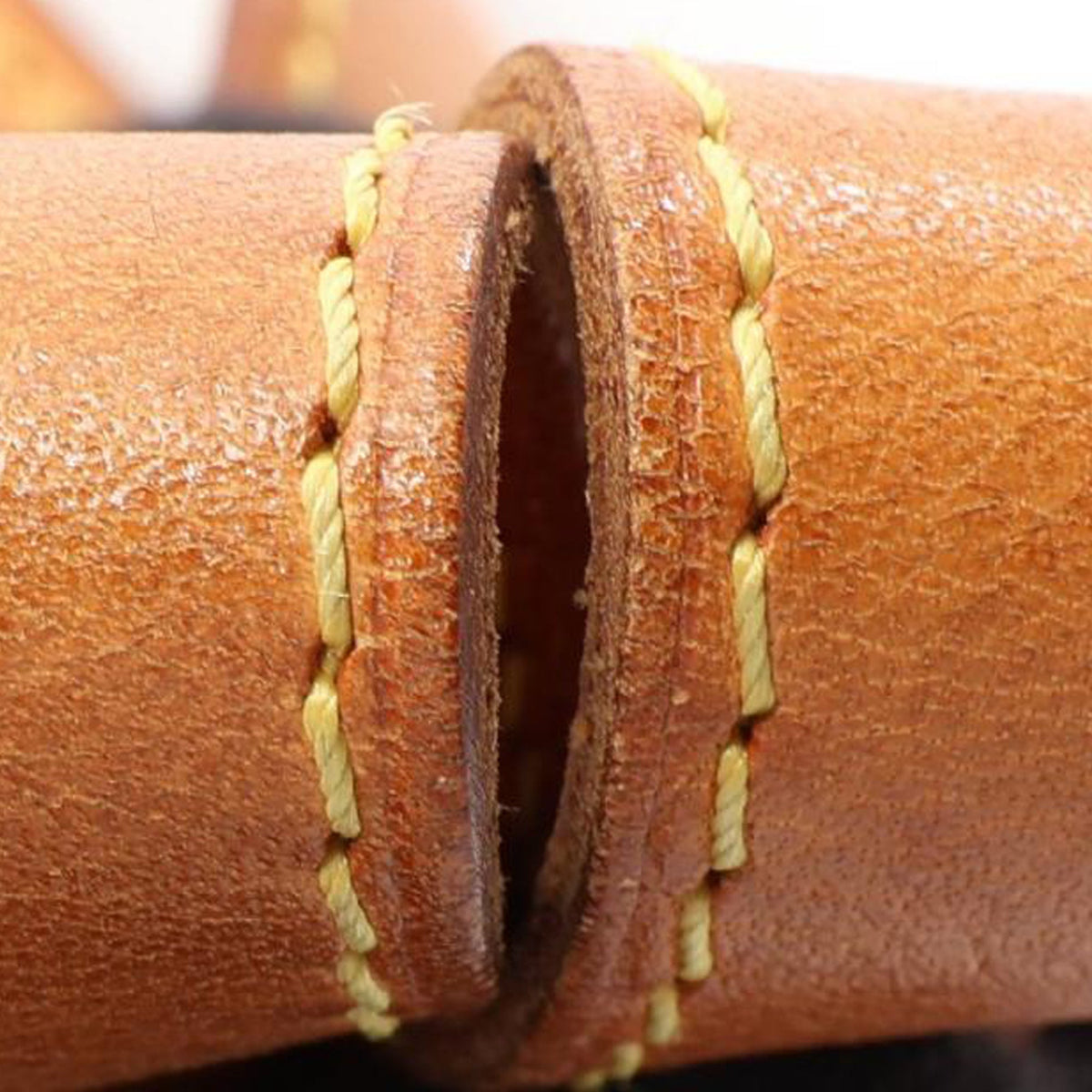 Louis Vuitton Monogram Popincourt Haut — Brown