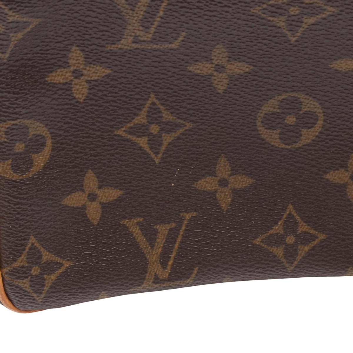 Louis Vuitton Monogram Viva Cite PM