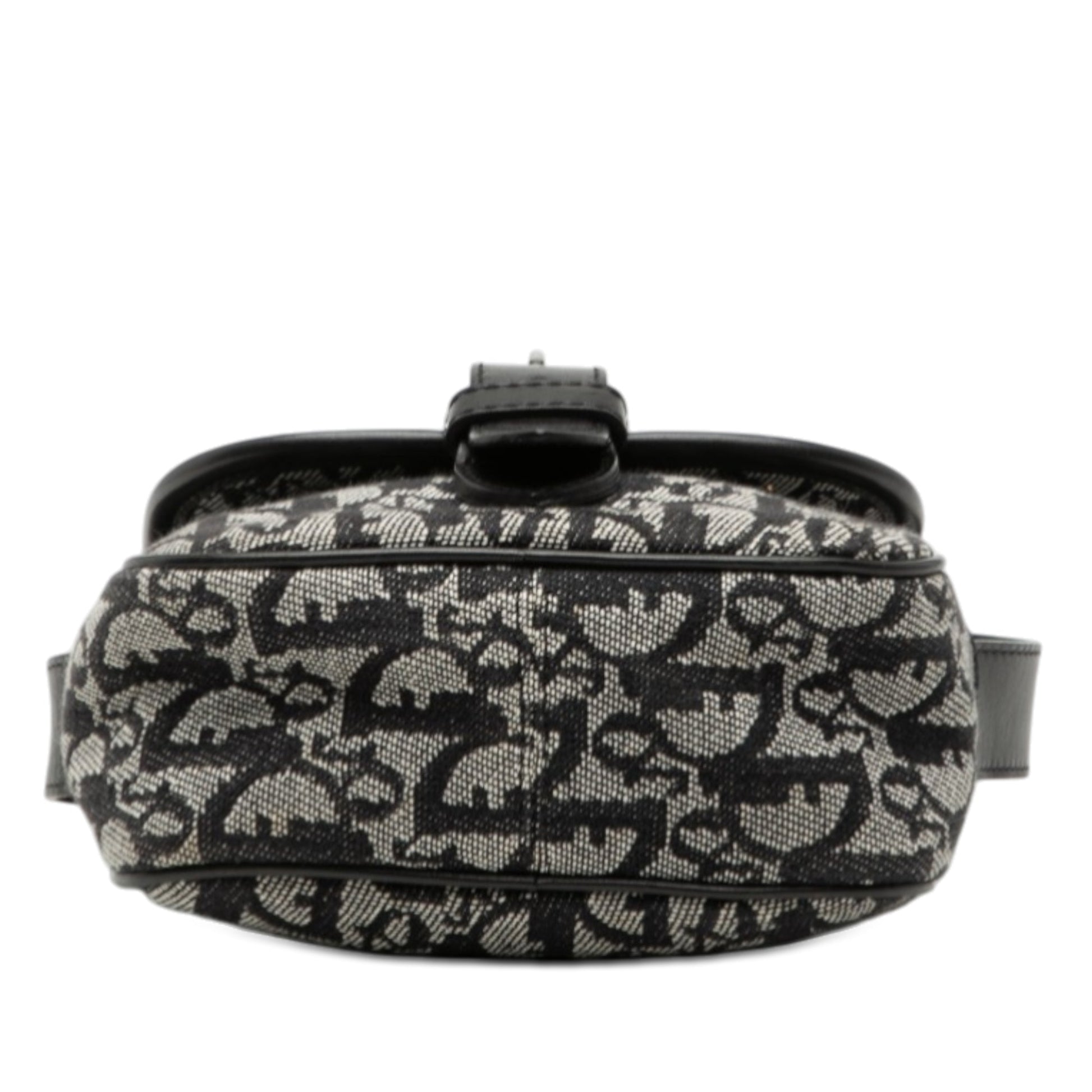 Dior Diorissimo Trotter Canvas Crossbody