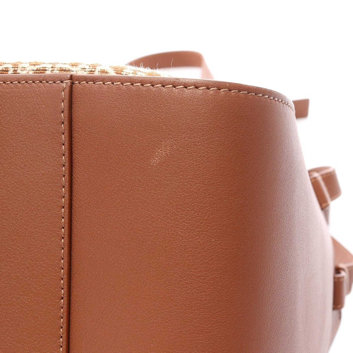 LOEWE Small Raffia and Leather Hammock Bag