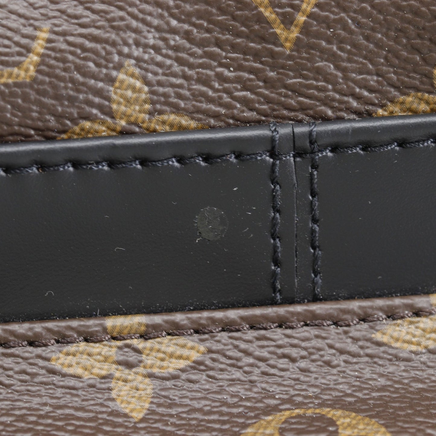 Louis Vuitton Monogram Macassar Josh