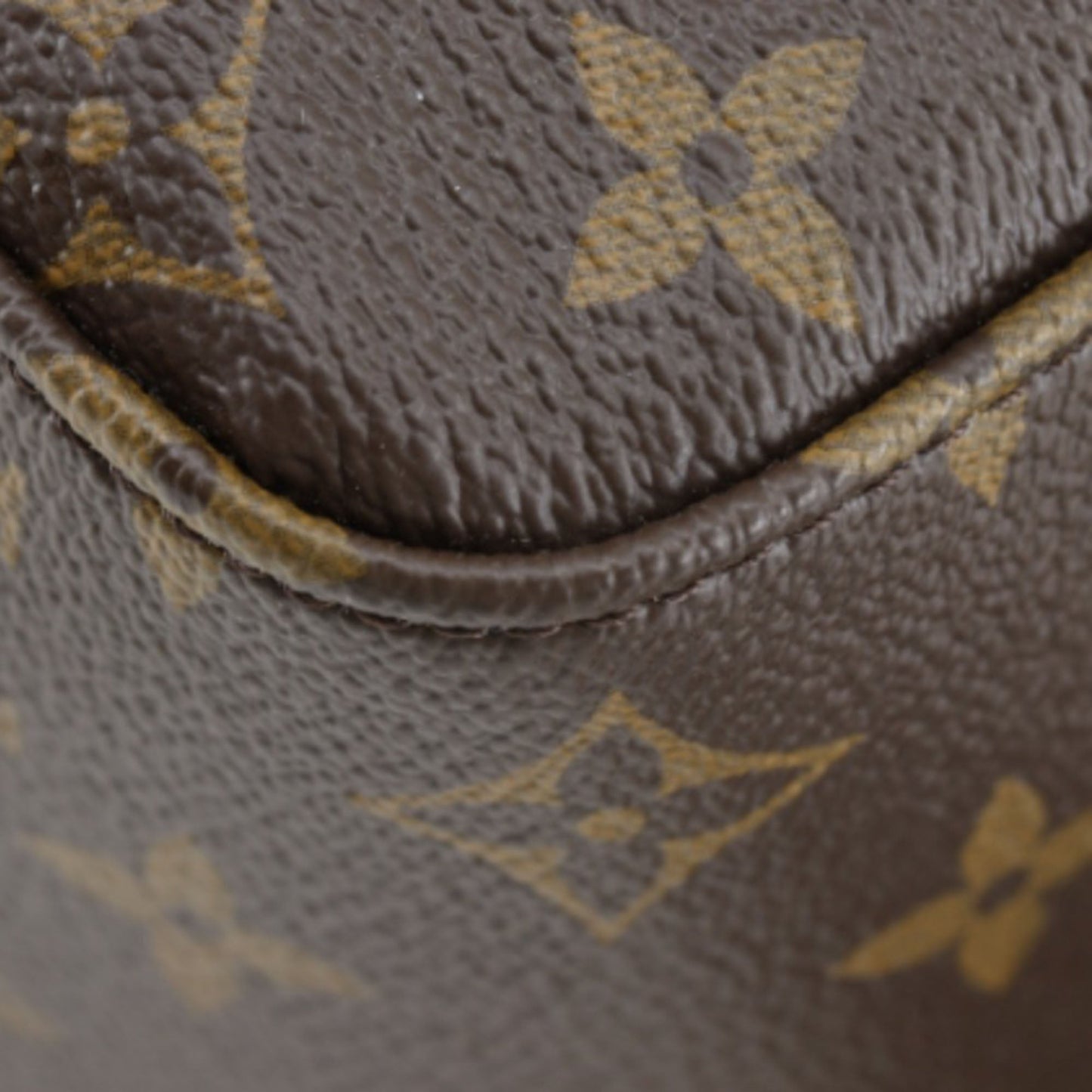 Louis Vuitton Monogram Macassar Josh