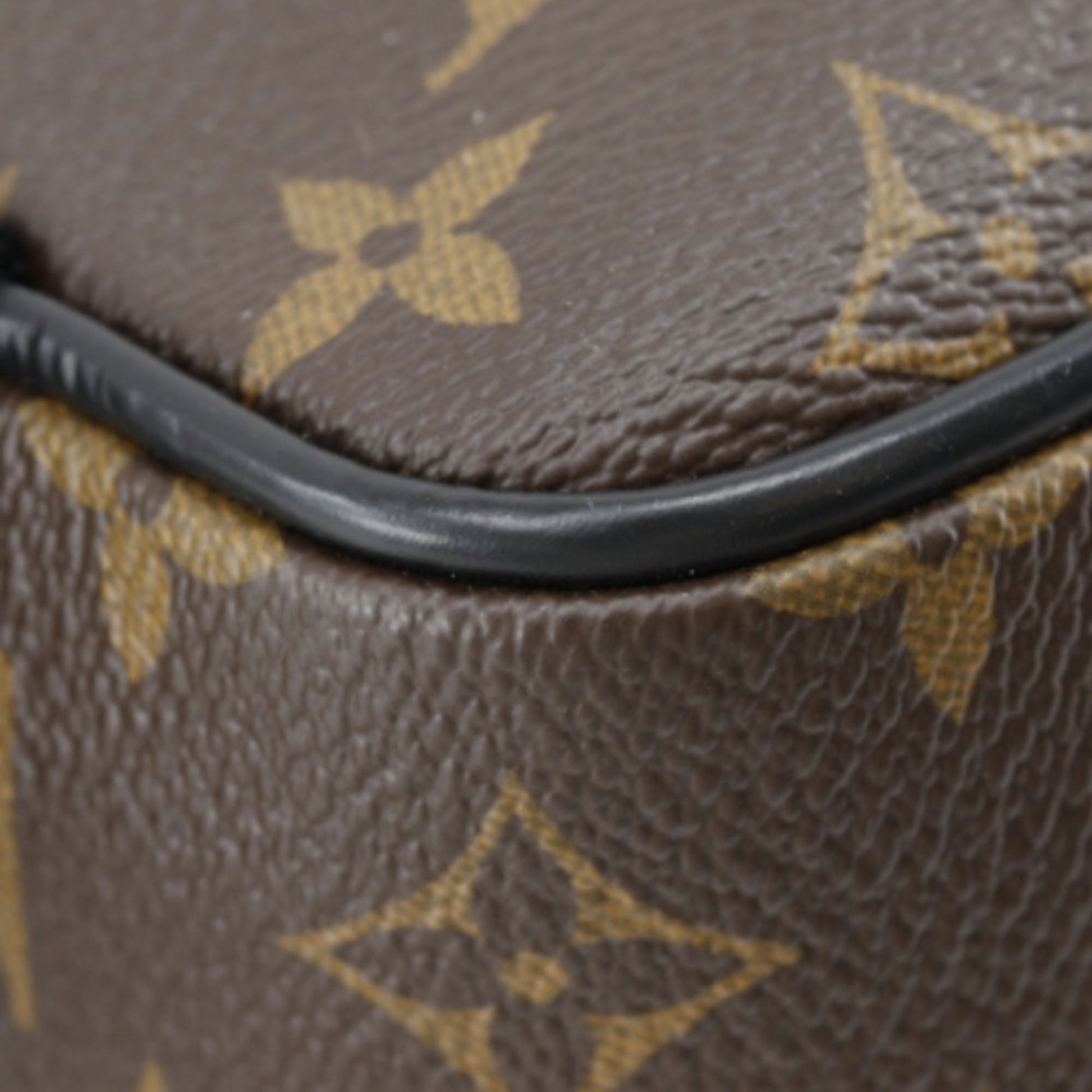 Louis Vuitton Monogram Macassar Josh