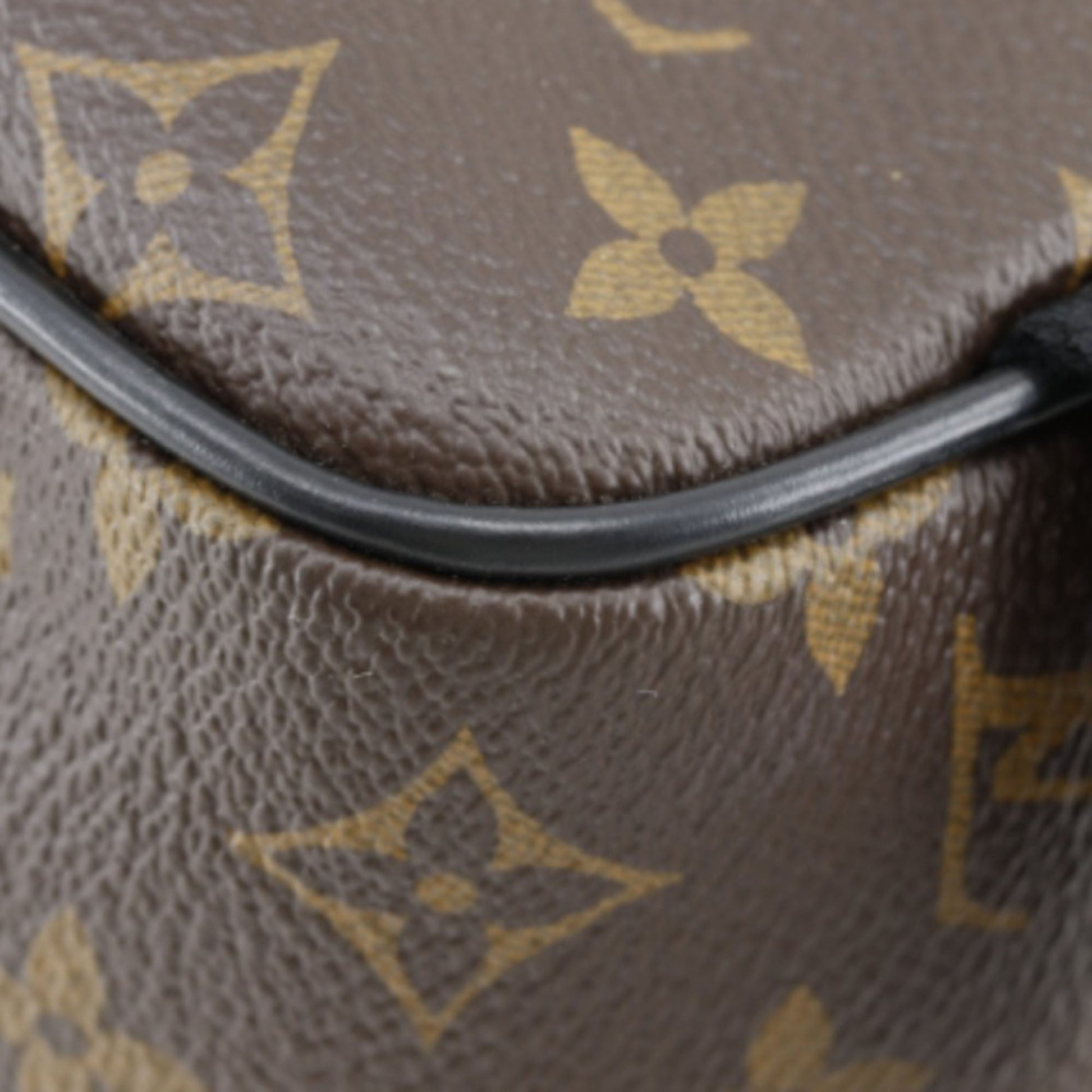 Louis Vuitton Monogram Macassar Josh