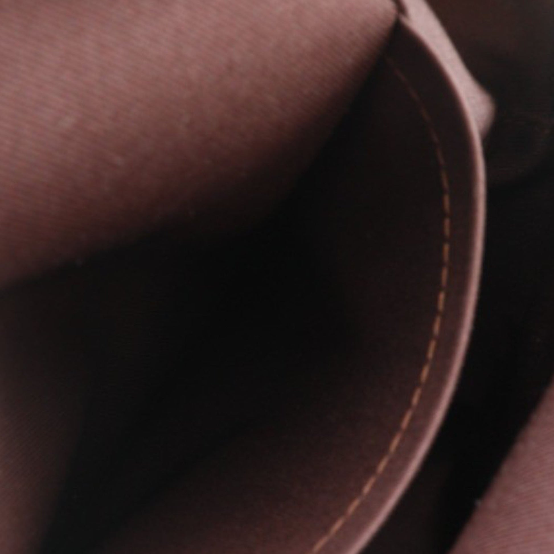 Louis Vuitton Monogram Macassar Josh