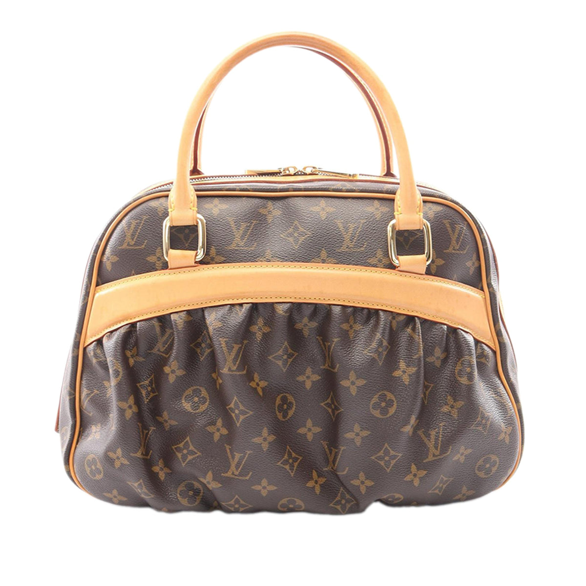 Louis Vuitton Monogram Mizi