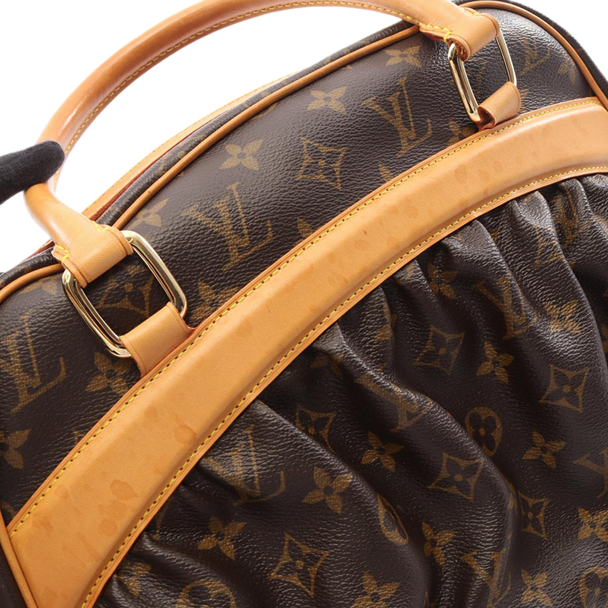 Louis Vuitton Monogram Mizi