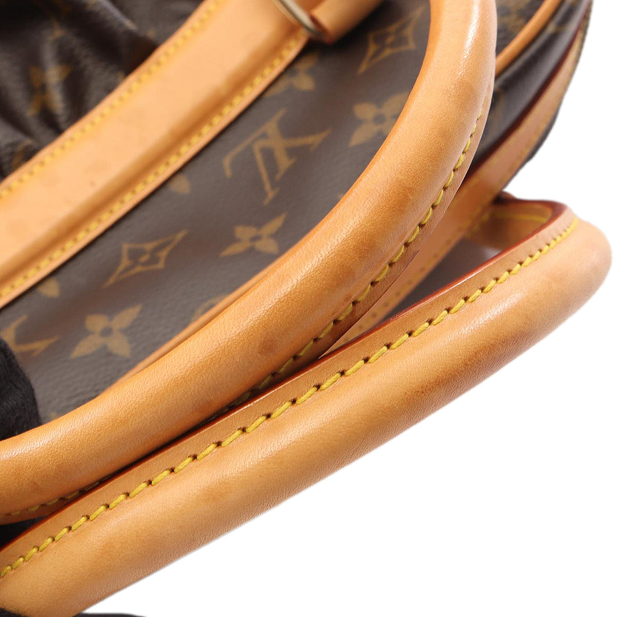 Louis Vuitton Monogram Mizi