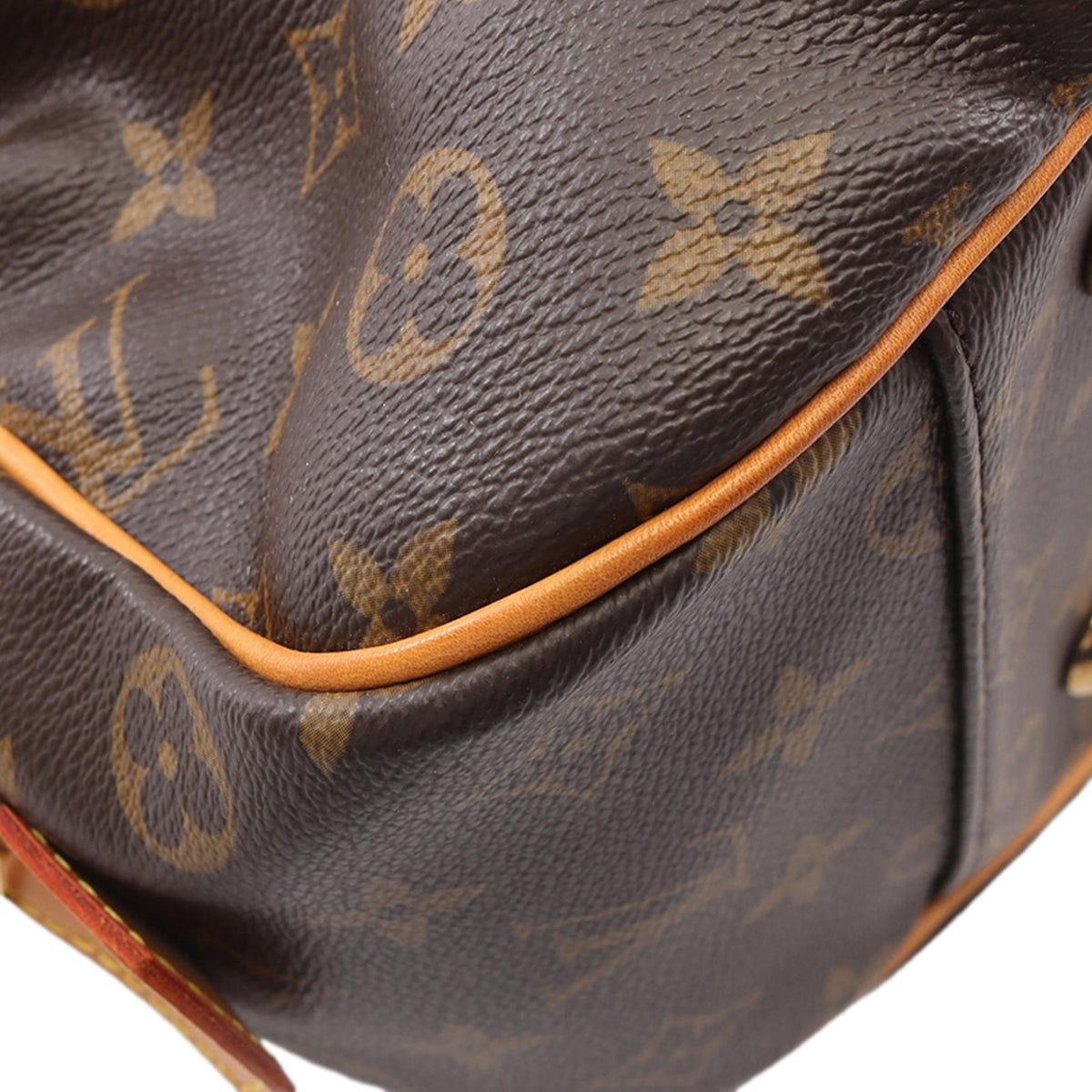 Louis Vuitton Monogram Mizi