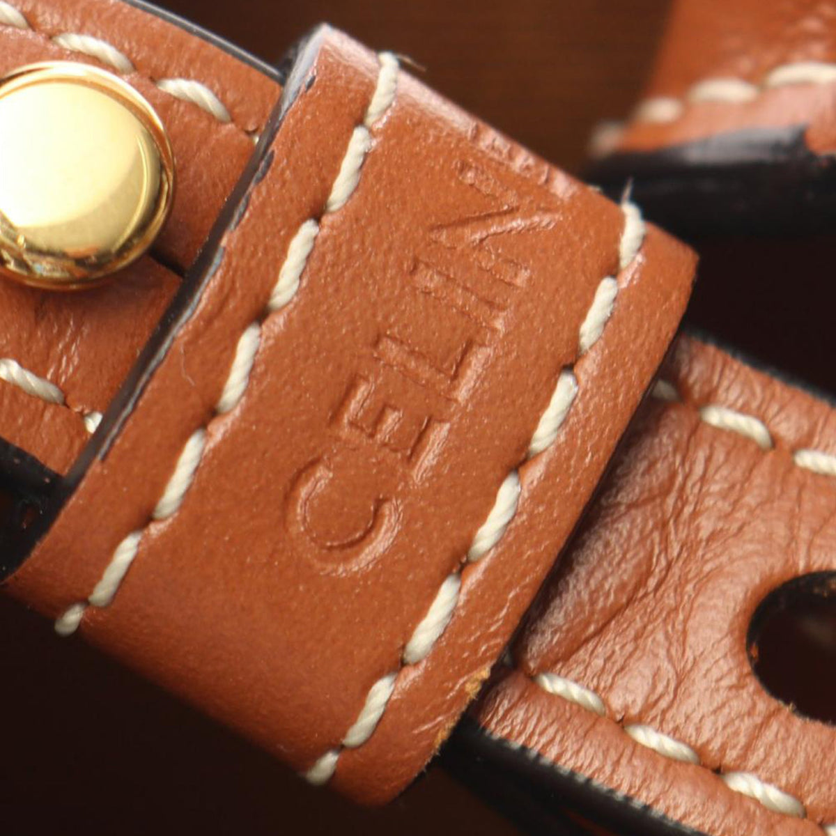 Celine Mini Triomphe Coated Canvas Vertical Cabas Satchel