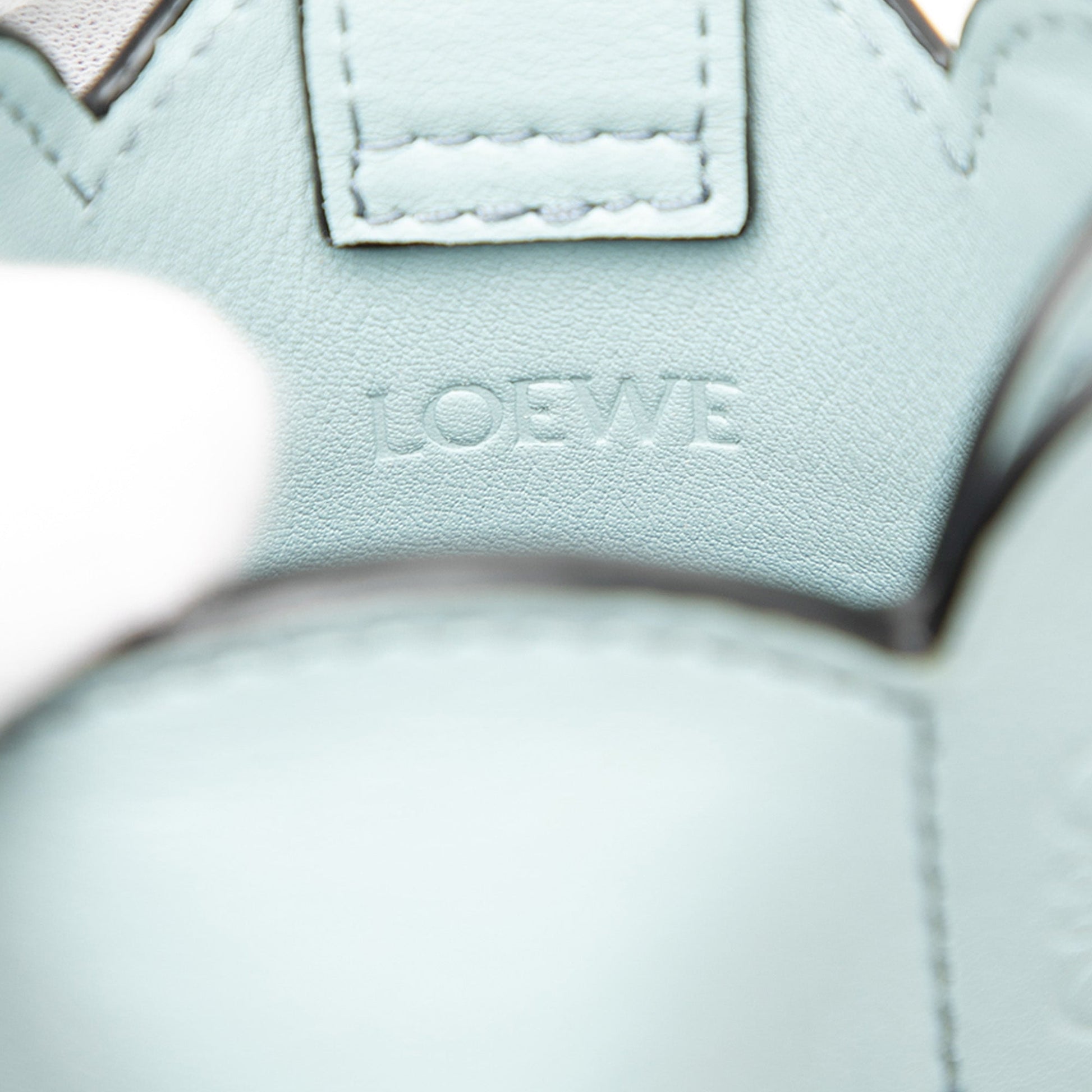 LOEWE Leather Elephant Pocket Crossbody