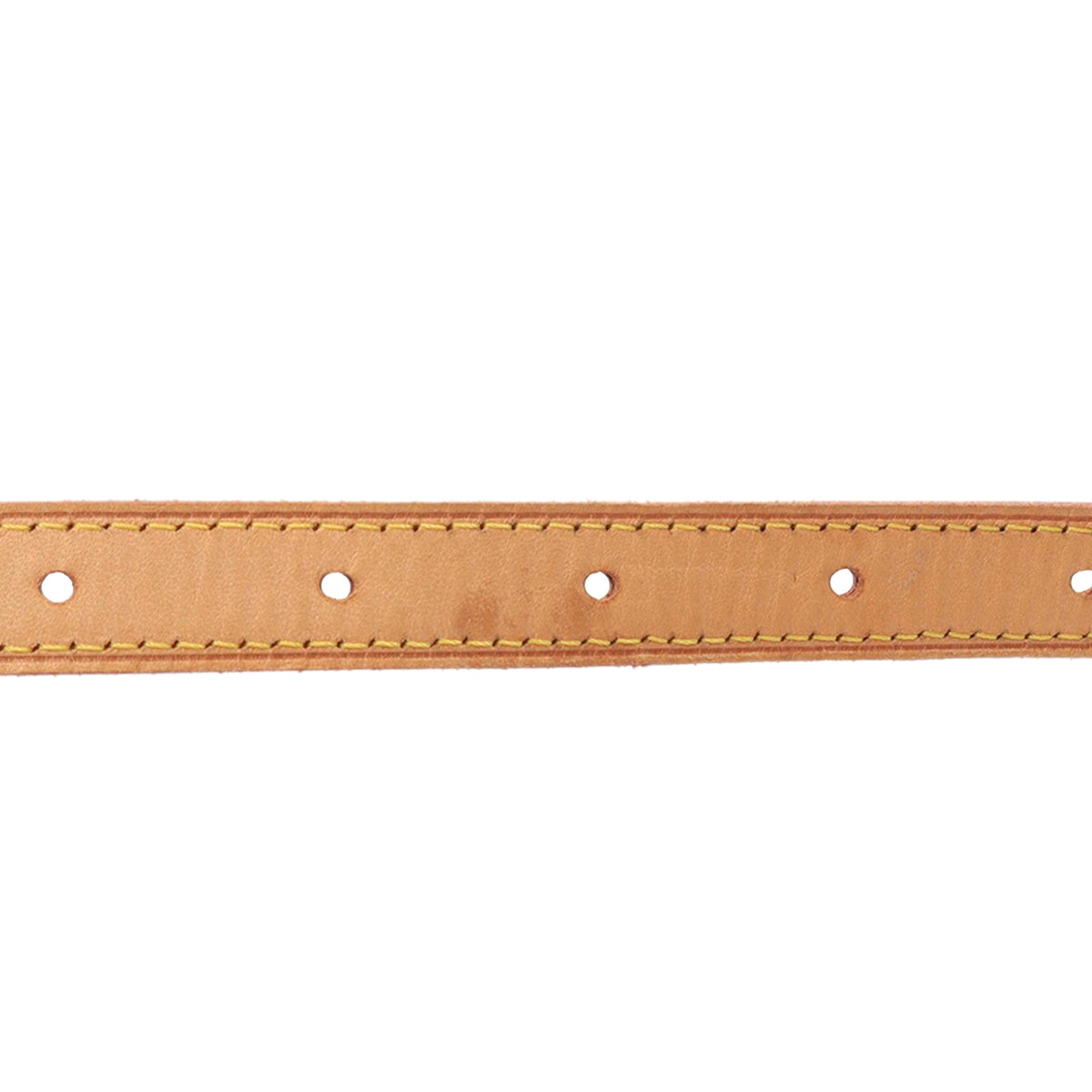 Louis Vuitton Monogram Viva Cite PM — Brown