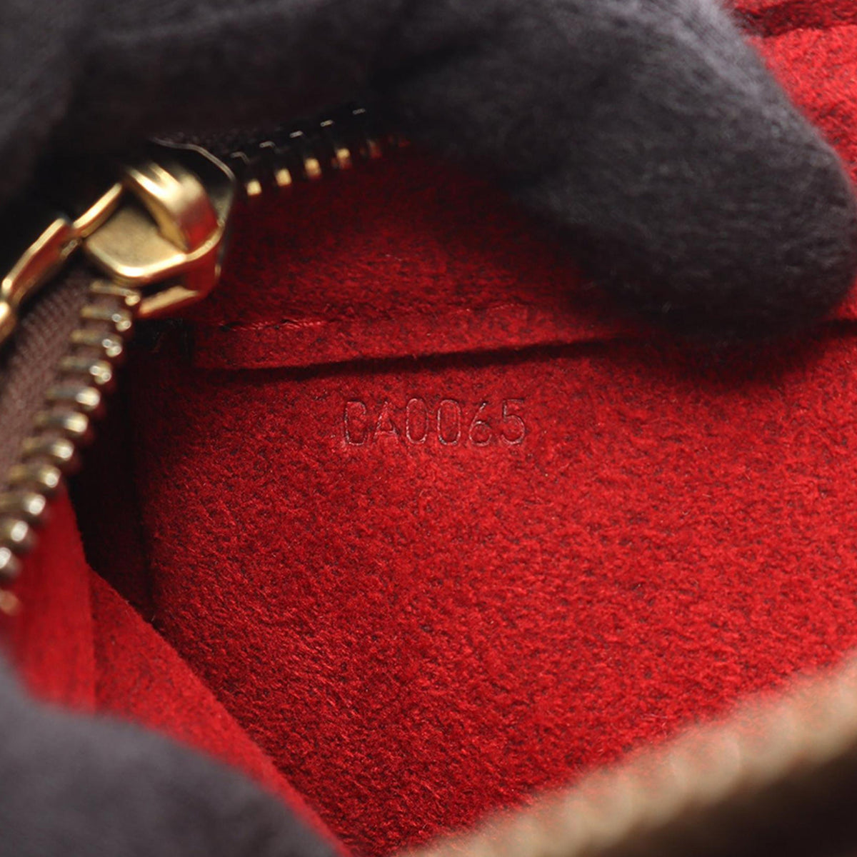 Louis Vuitton Monogram Viva Cite PM — Brown