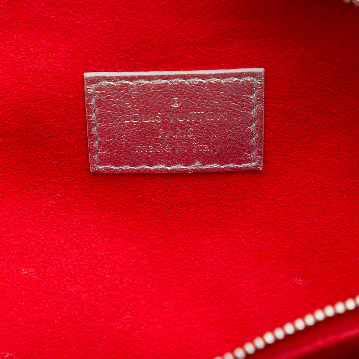 Louis Vuitton Monogram Embossed Puffy Lambskin Coussin PM