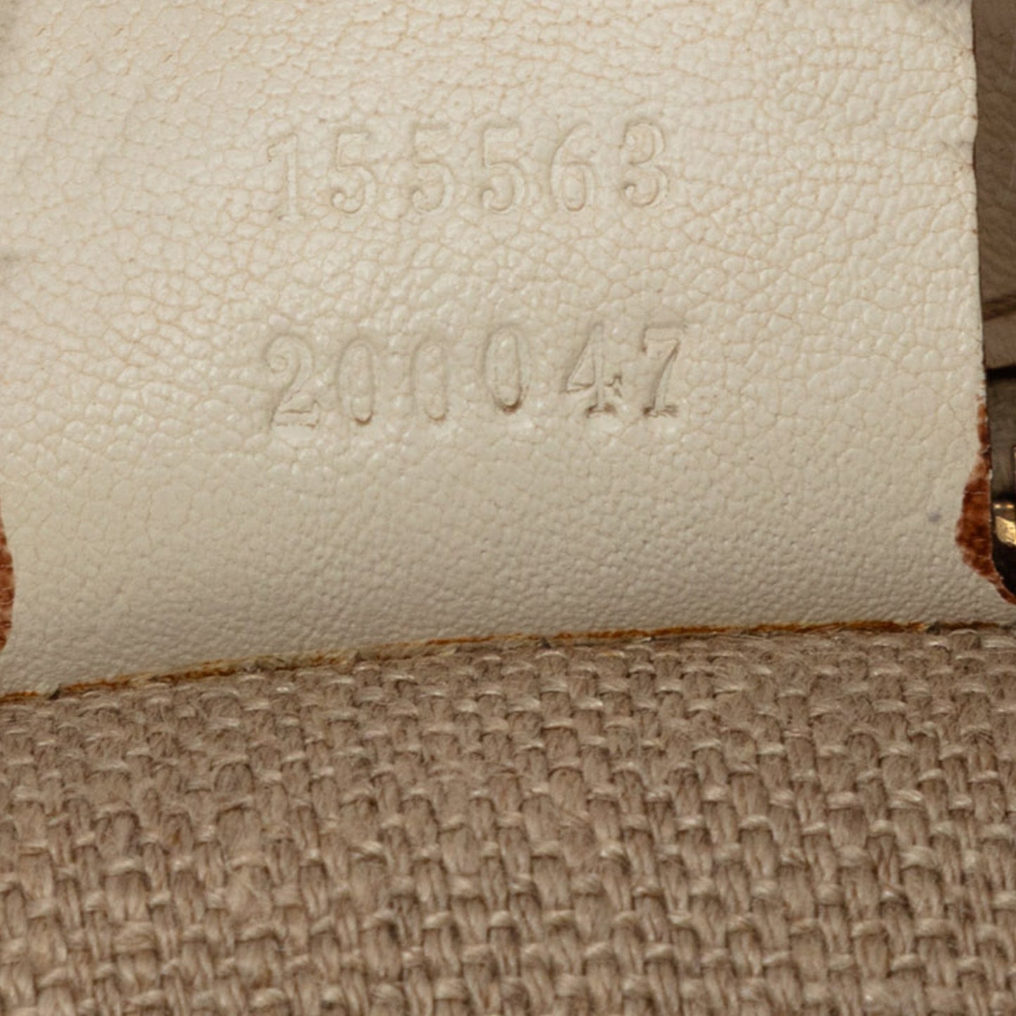 Gucci GG Canvas Positano Hobo