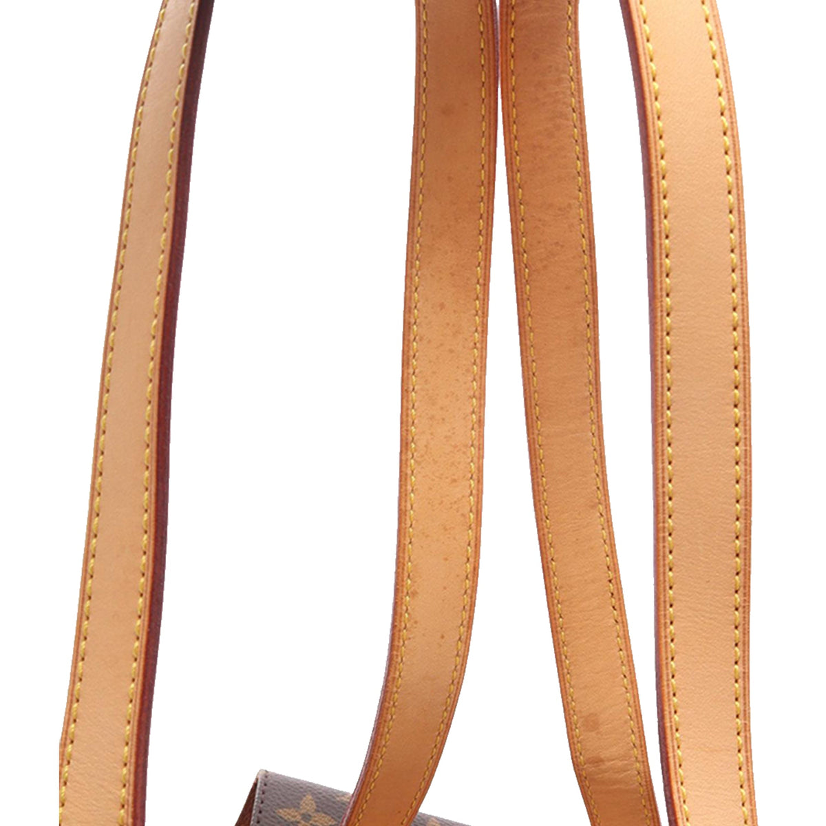 Louis Vuitton Monogram Montsouris MM — Brown