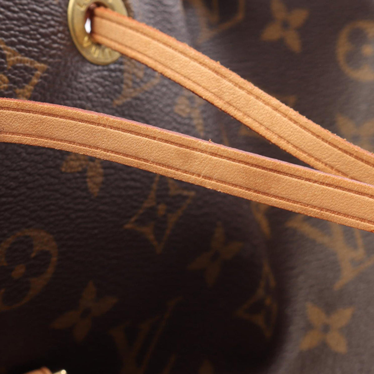 Louis Vuitton Monogram Montsouris MM — Brown