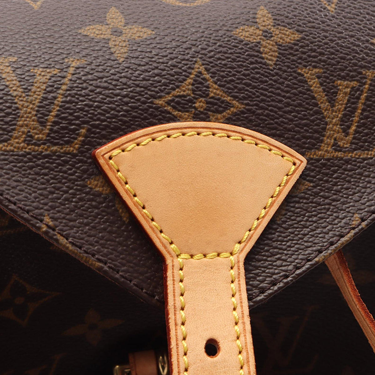 Louis Vuitton Monogram Montsouris MM — Brown