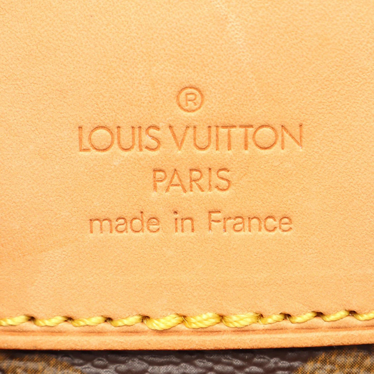 Louis Vuitton Monogram Montsouris MM — Brown