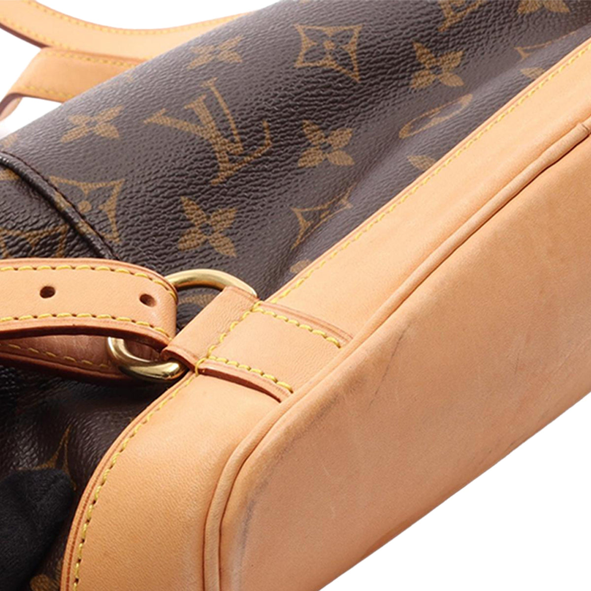 Louis Vuitton Monogram Montsouris MM — Brown