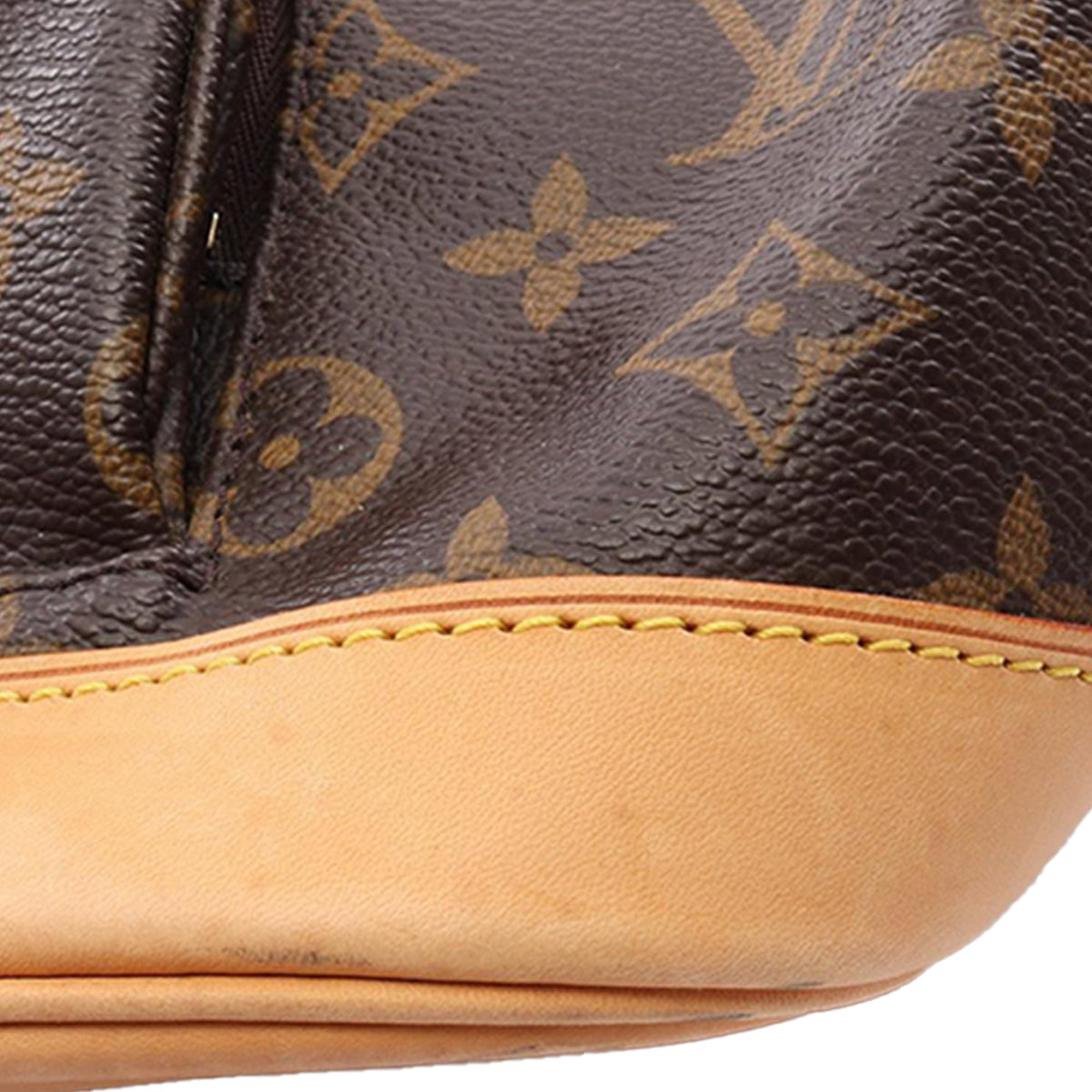 Louis Vuitton Monogram Montsouris MM — Brown