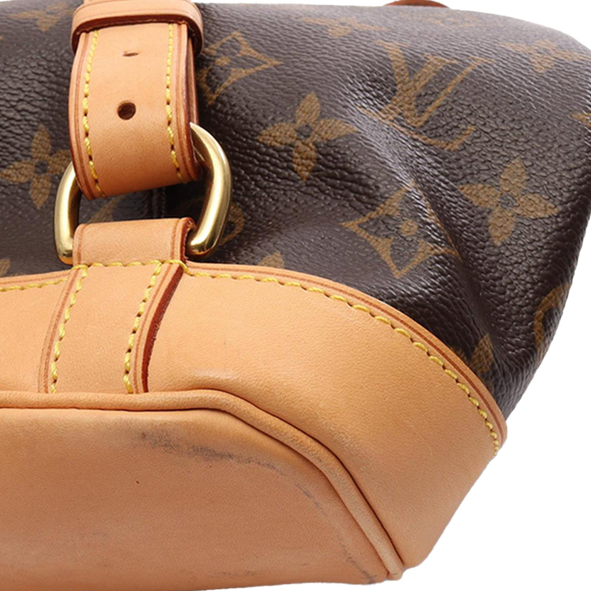 Louis Vuitton Monogram Montsouris MM — Brown