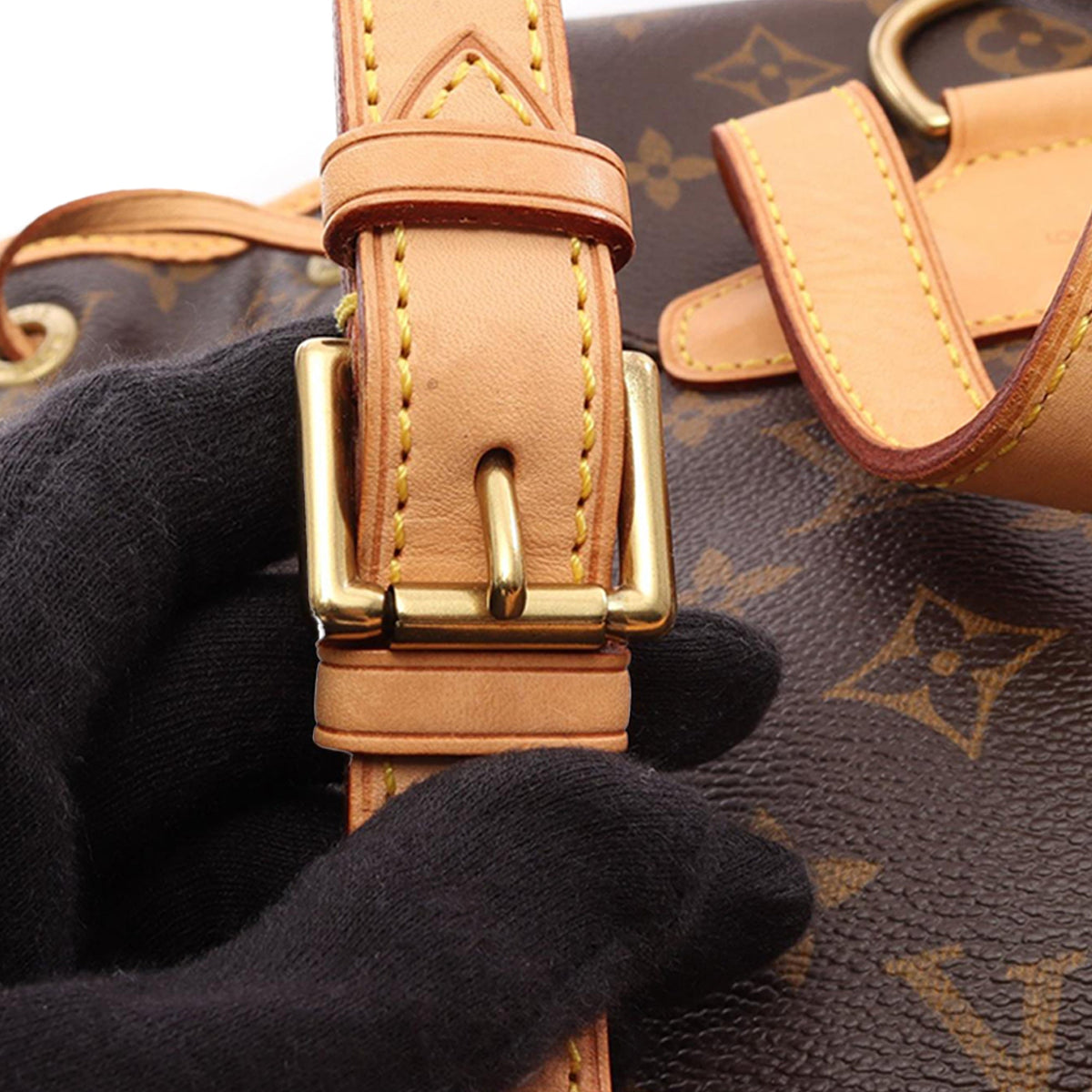 Louis Vuitton Monogram Montsouris MM — Brown