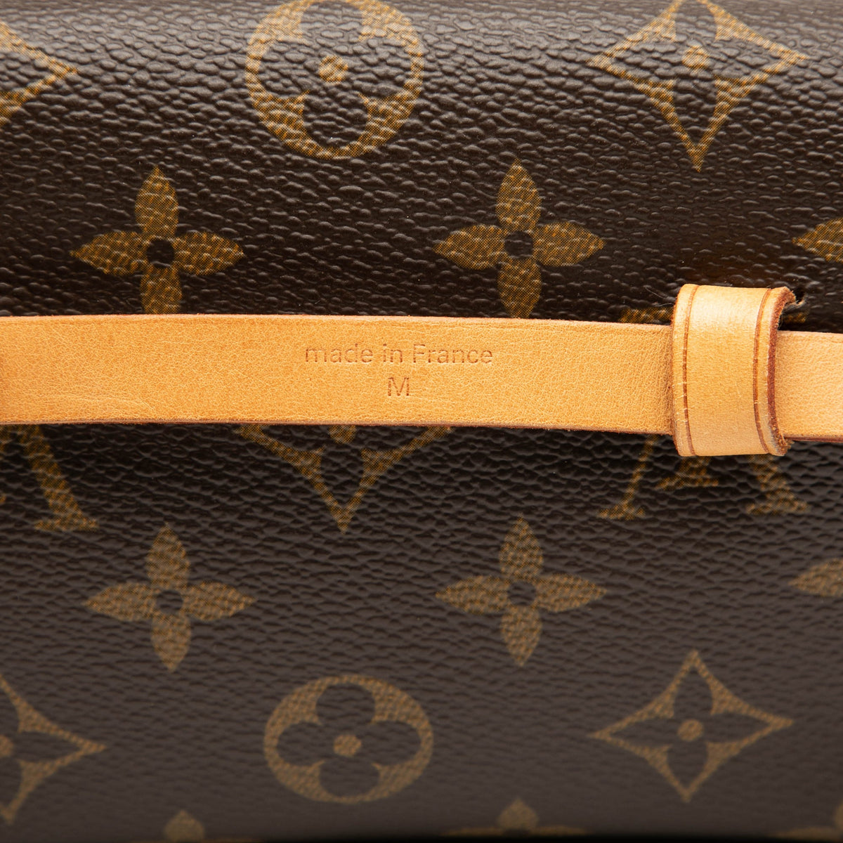 Louis Vuitton Monogram Pochette Florentine