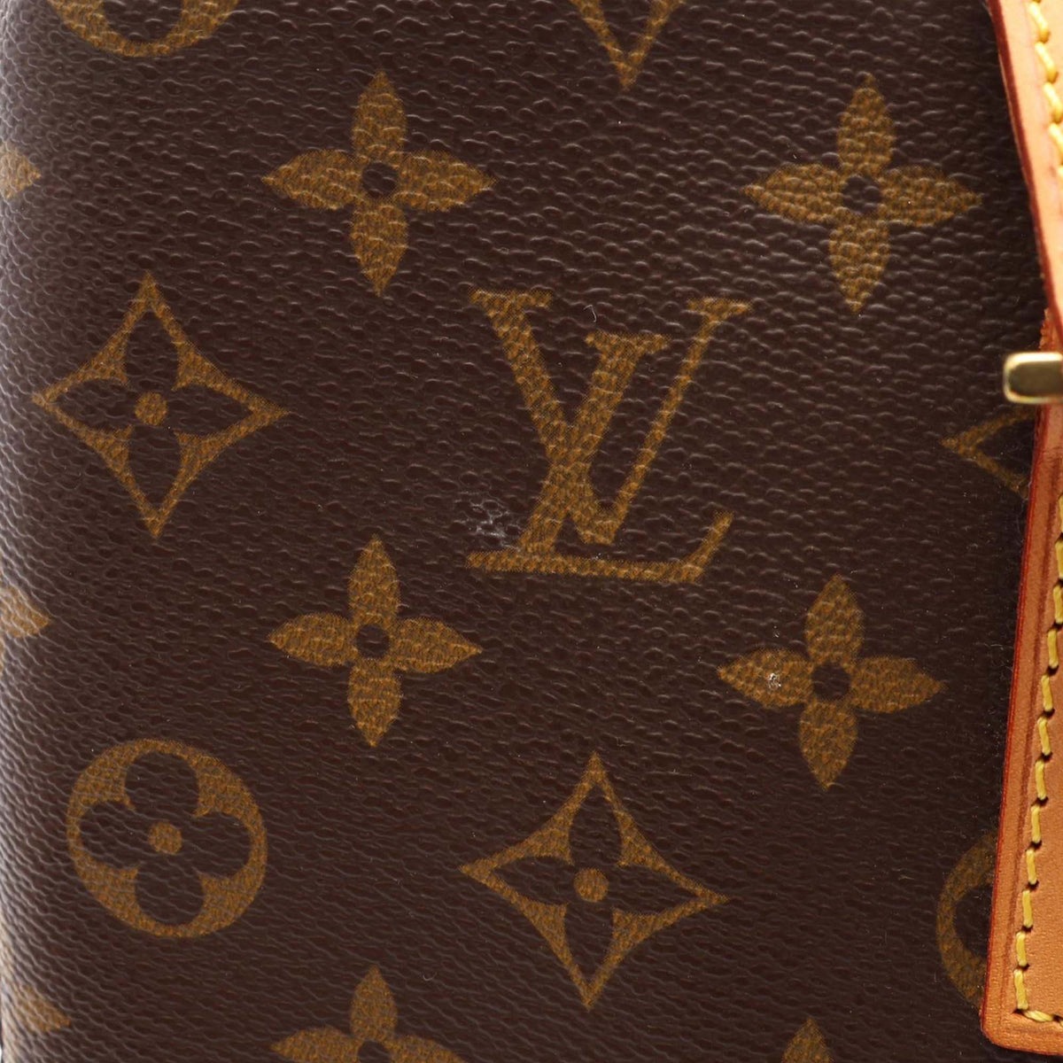 Louis Vuitton Monogram Vavin GM