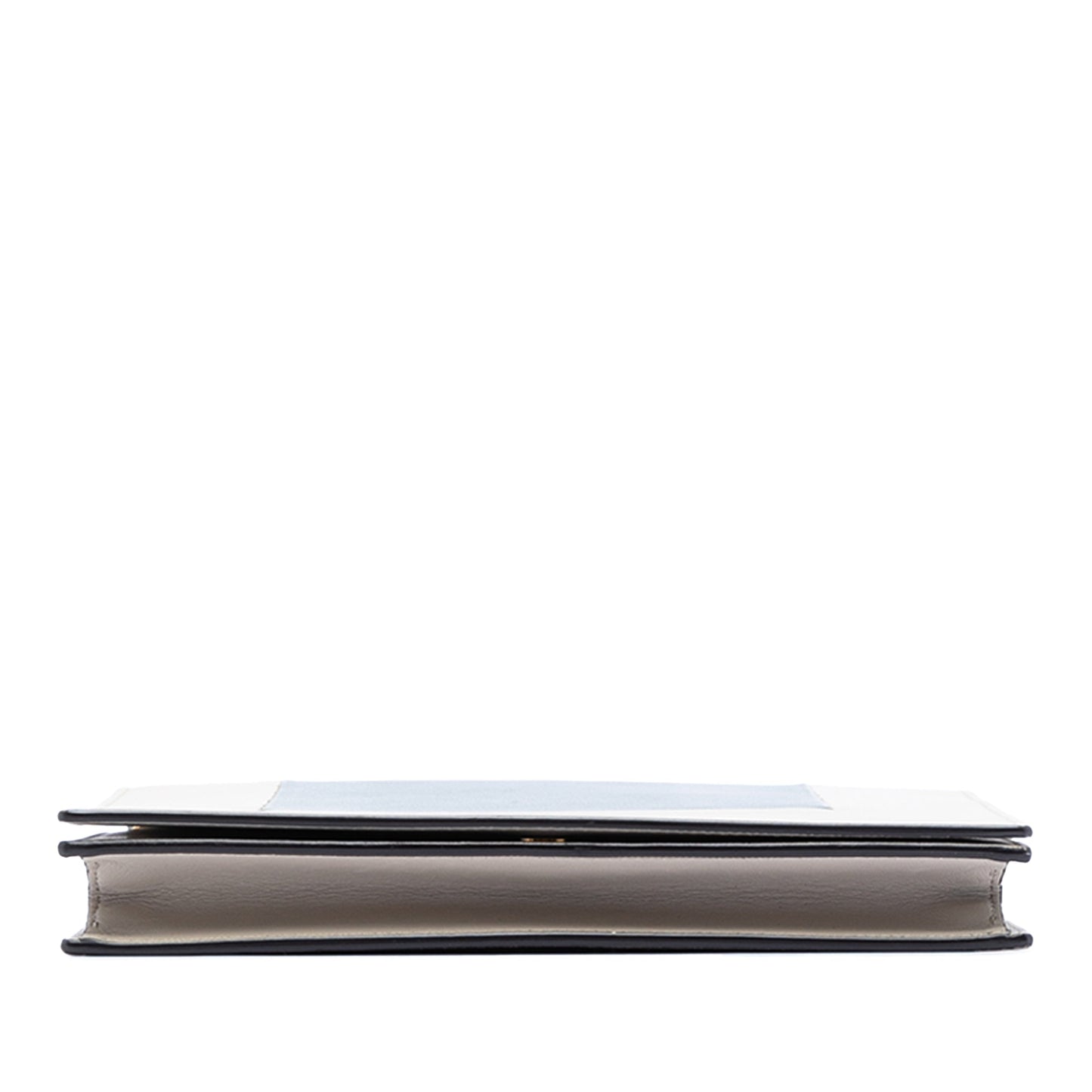 Celine Leather Frame Wallet on Chain