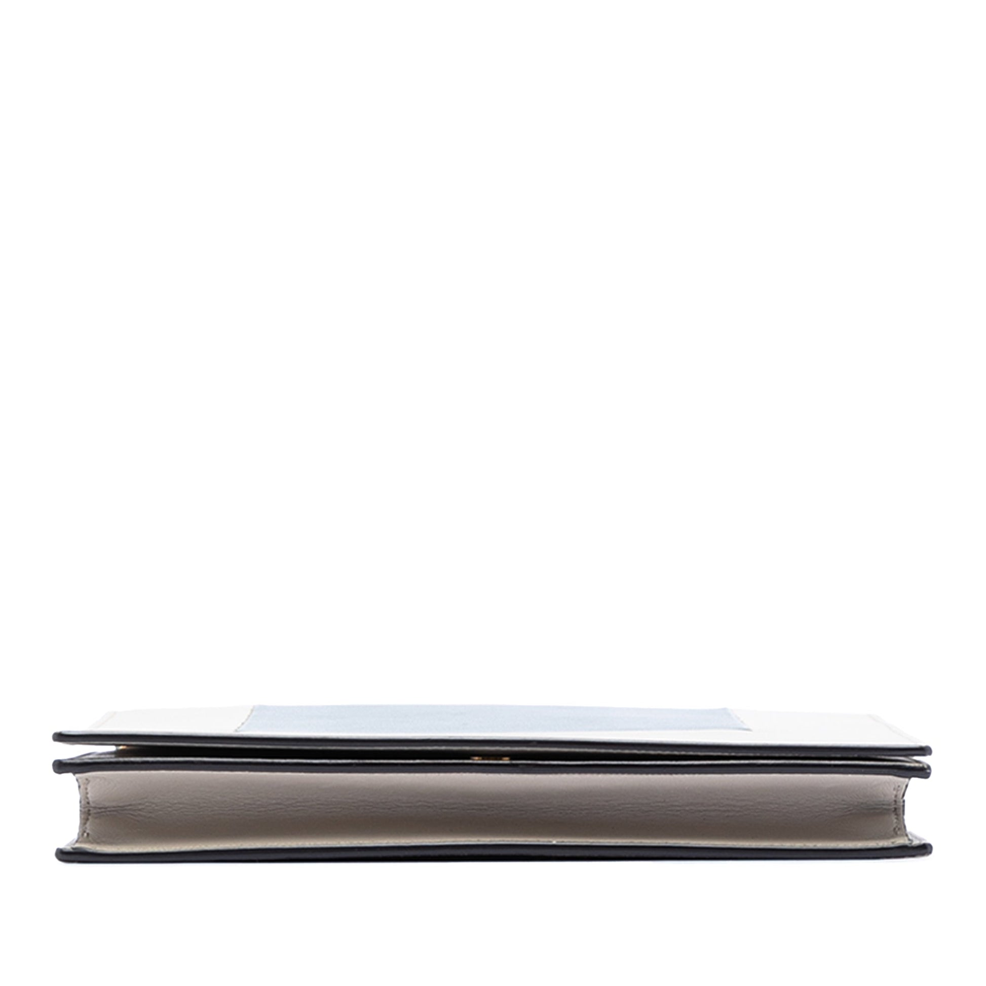 Celine Leather Frame Wallet on Chain