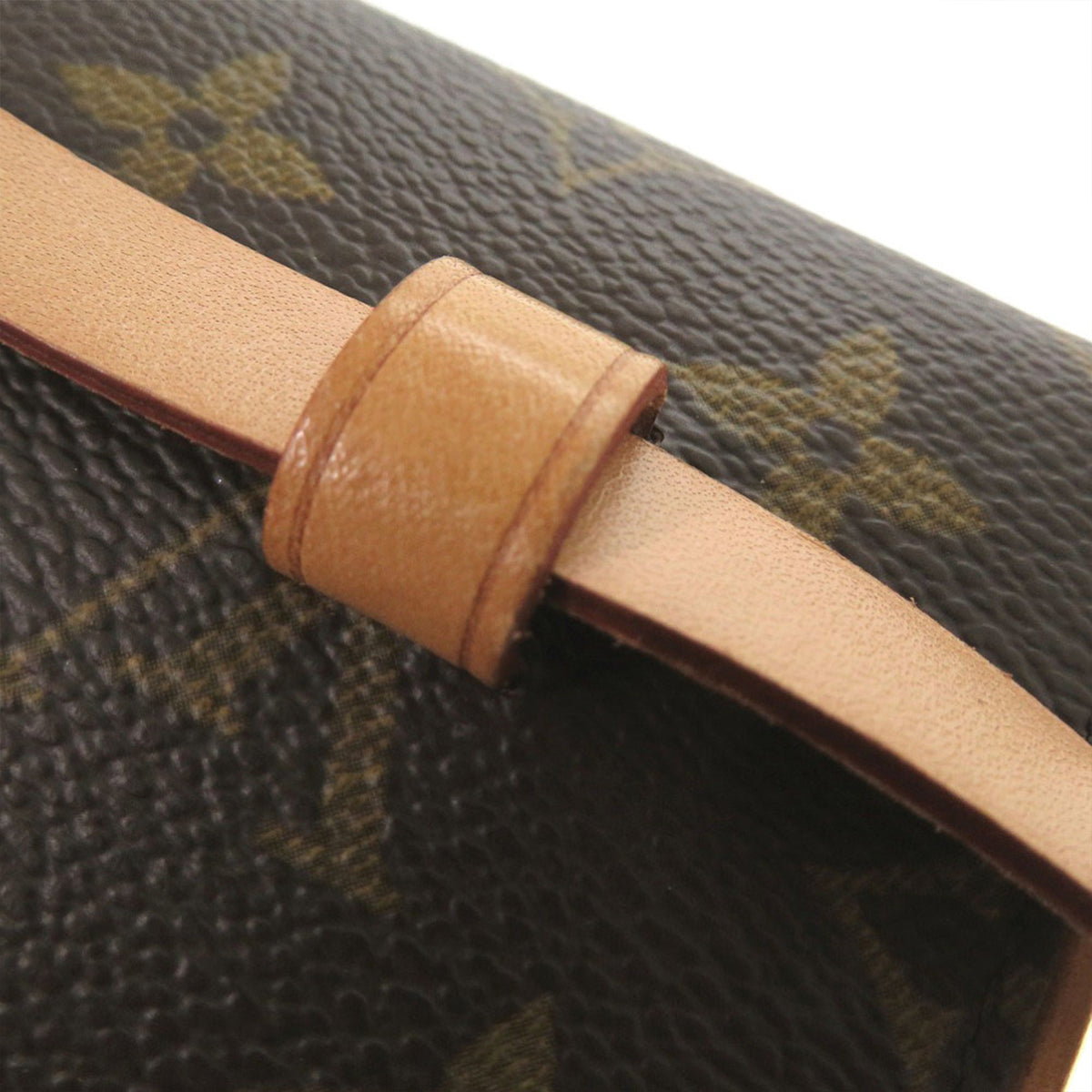 Louis Vuitton Monogram Pochette Florentine