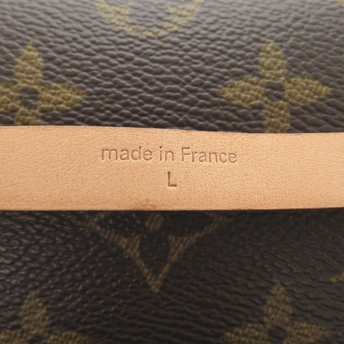 Louis Vuitton Monogram Pochette Florentine
