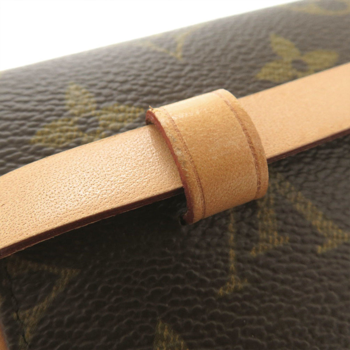 Louis Vuitton Monogram Pochette Florentine