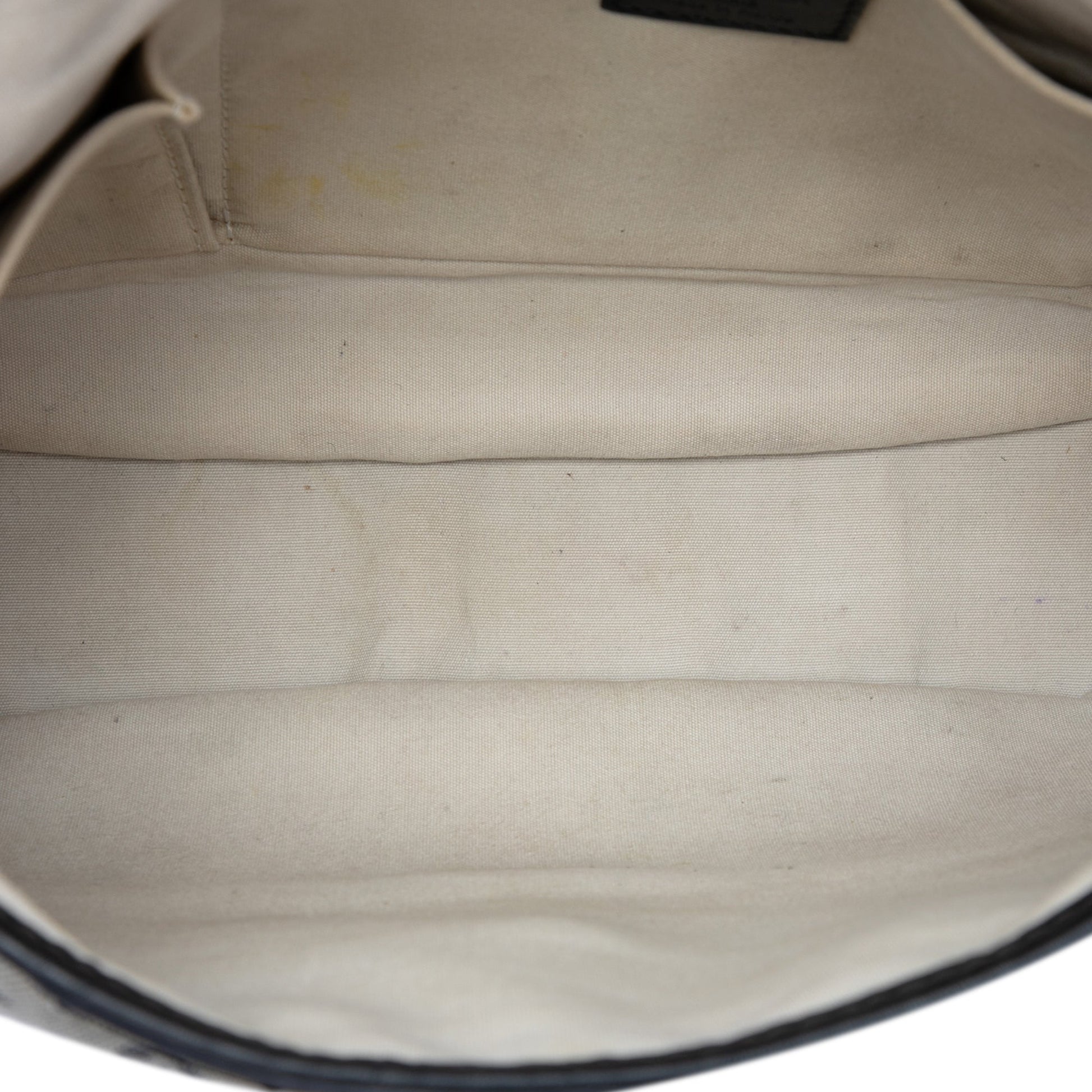 Louis Vuitton Monogram Mini Lin Marjorie