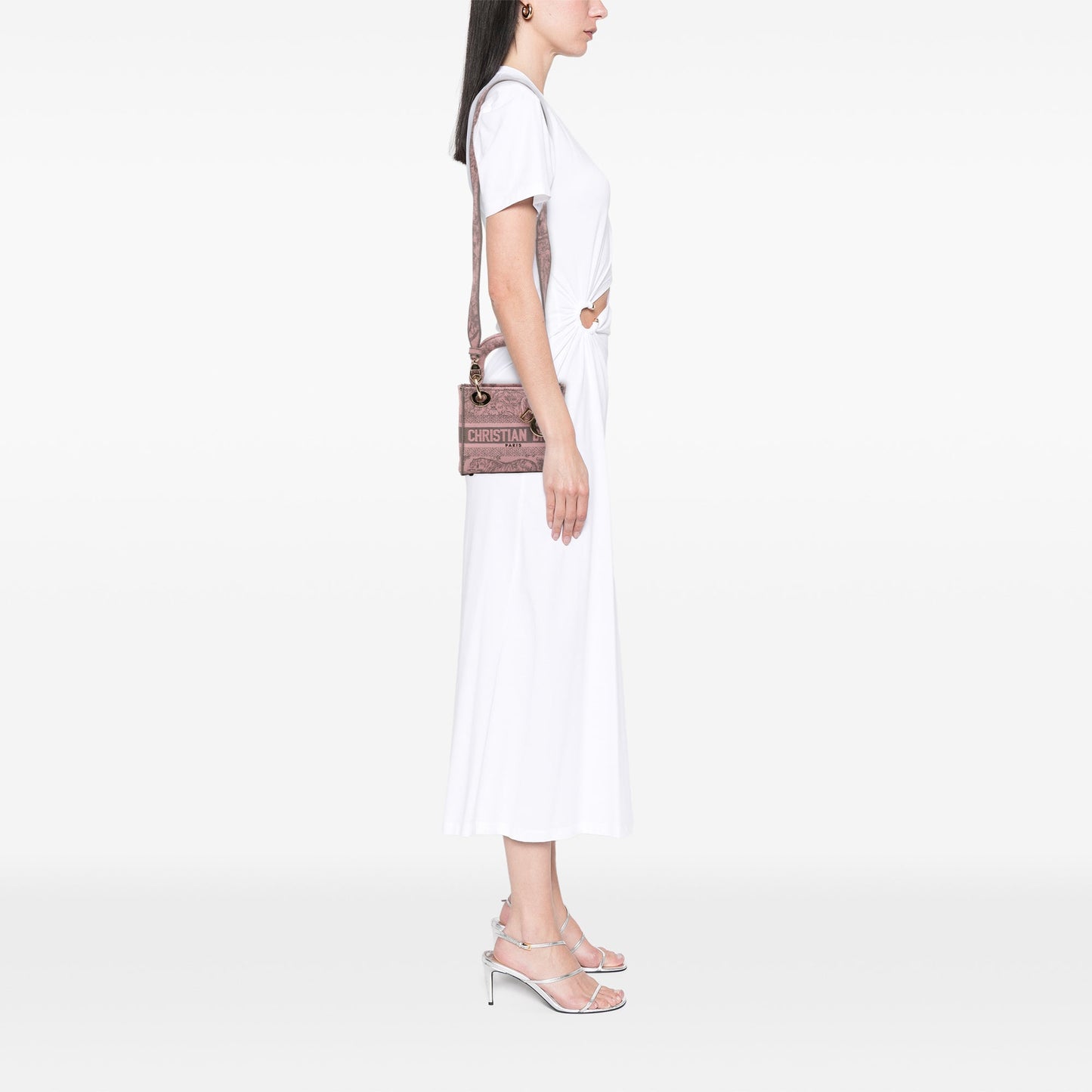 Dior Mini Embroidered Canvas Toile De Jouy Lady D Lite