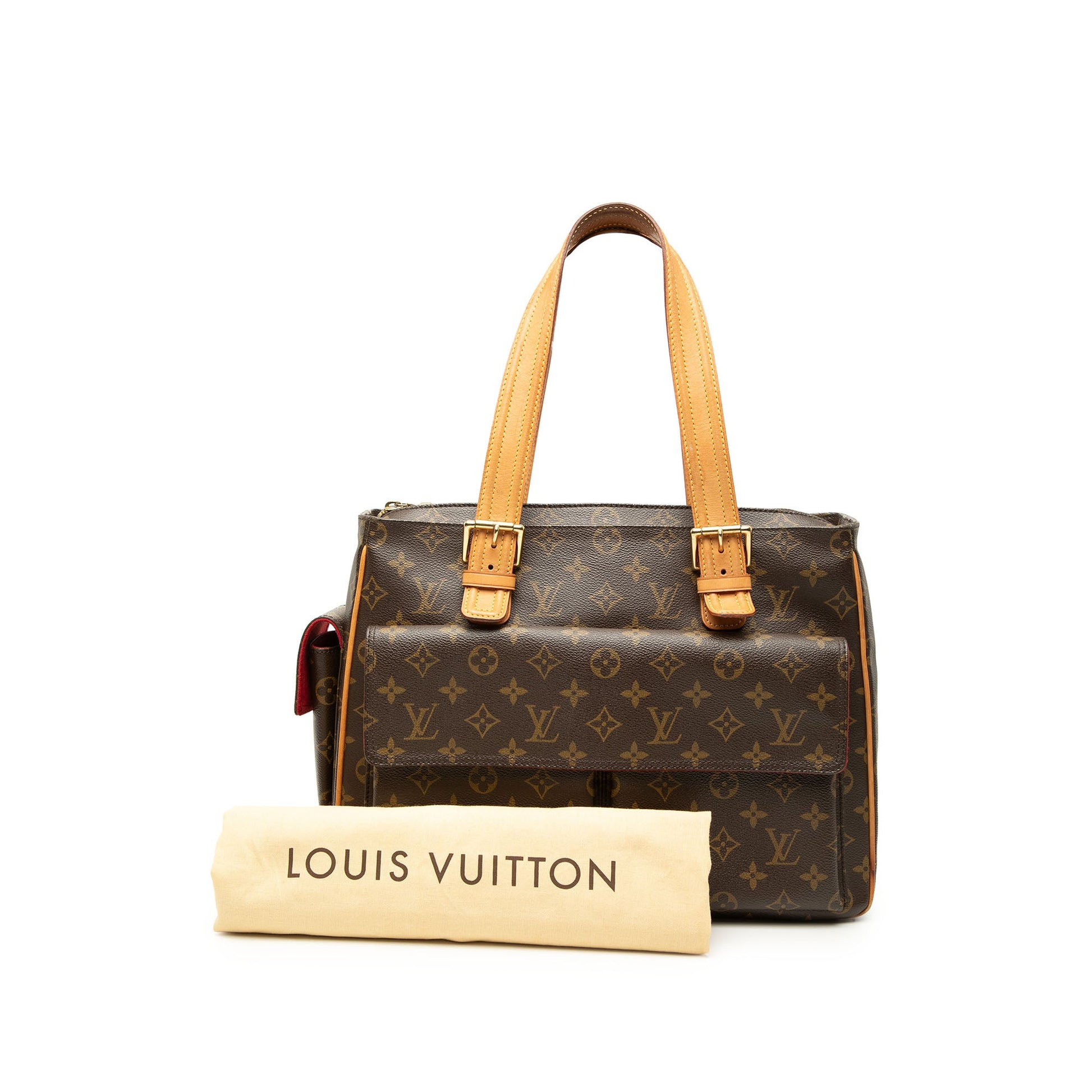 Louis Vuitton Monogram Multipli Cite