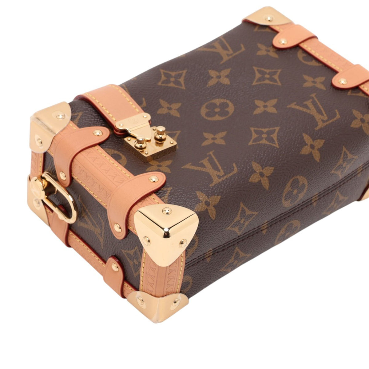 Louis Vuitton Monogram Side Trunk