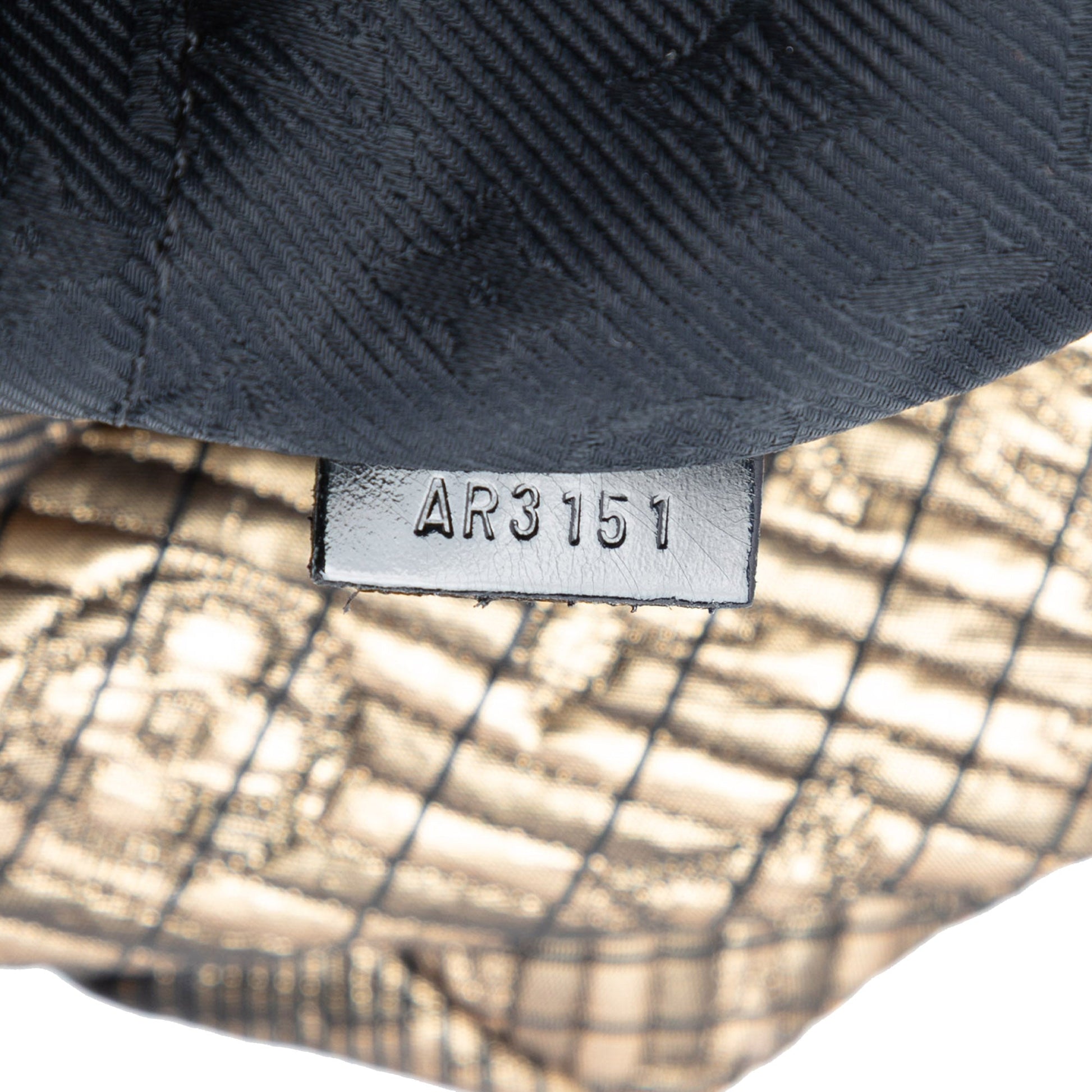 Louis Vuitton Monogram Jacquard Altair Clutch