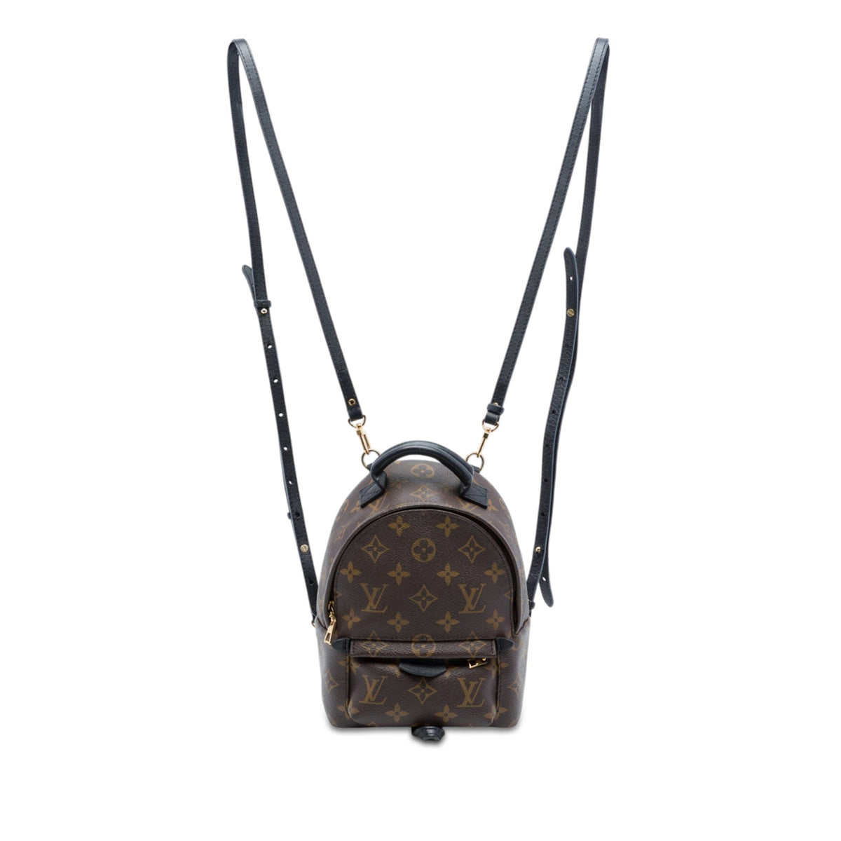 Louis Vuitton Monogram Mini Palm Springs