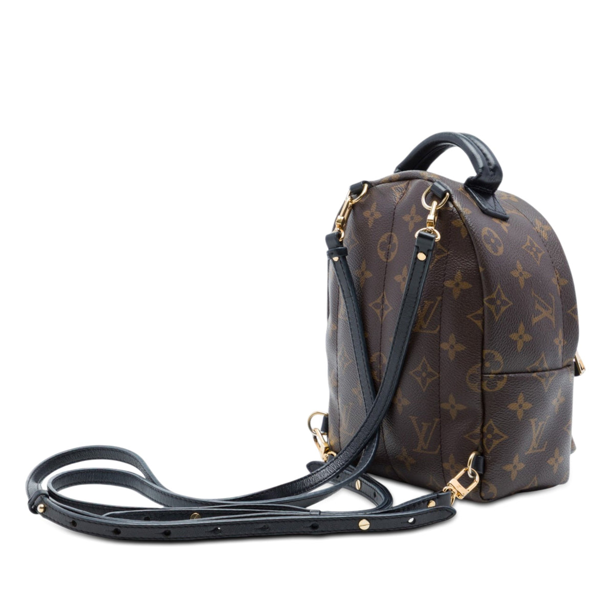 Louis Vuitton Monogram Mini Palm Springs